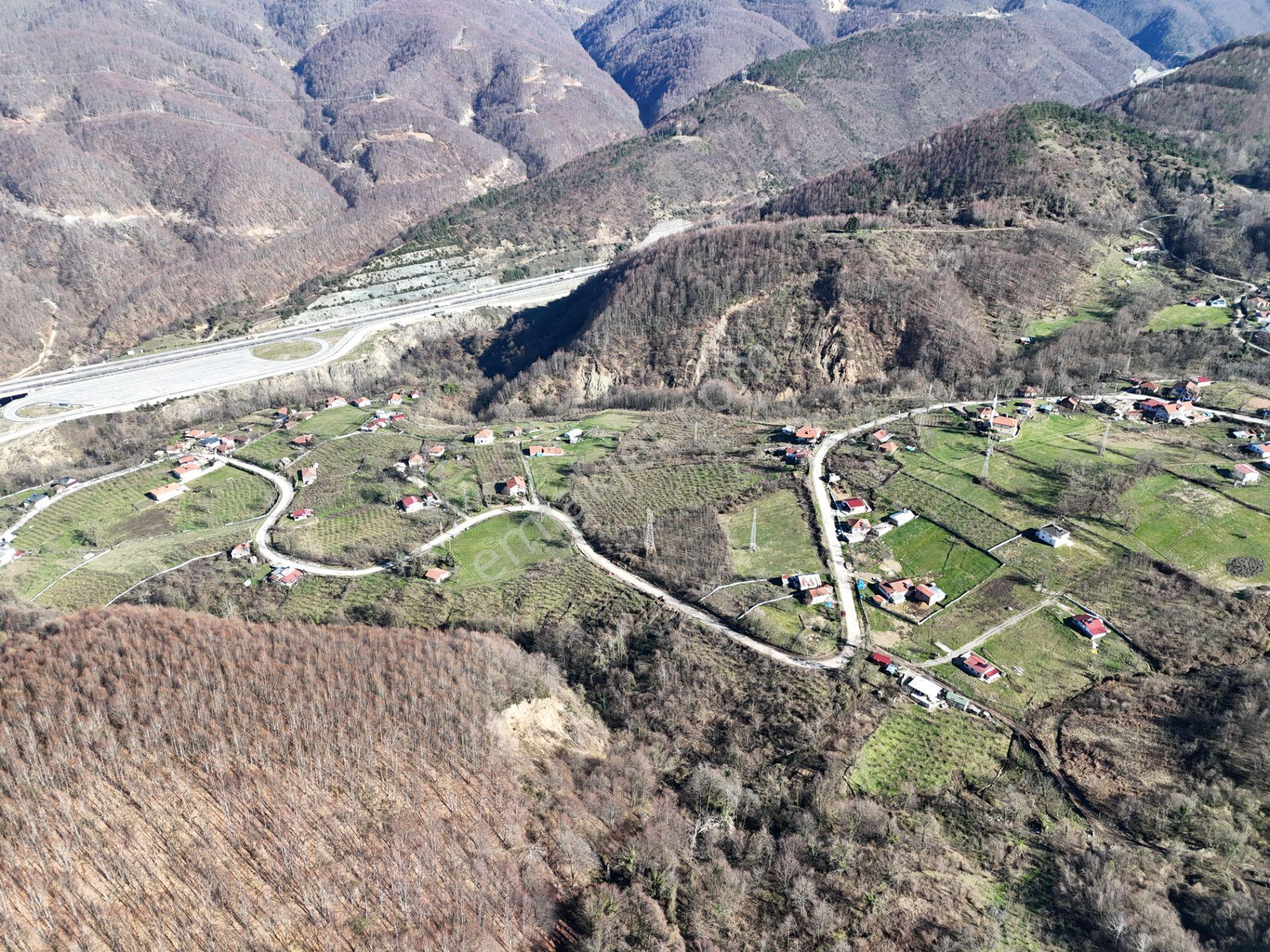 | Epa Uğur Düzce | Şok M2 Fiyatlı Satılık Tarlalar - Görsel 4