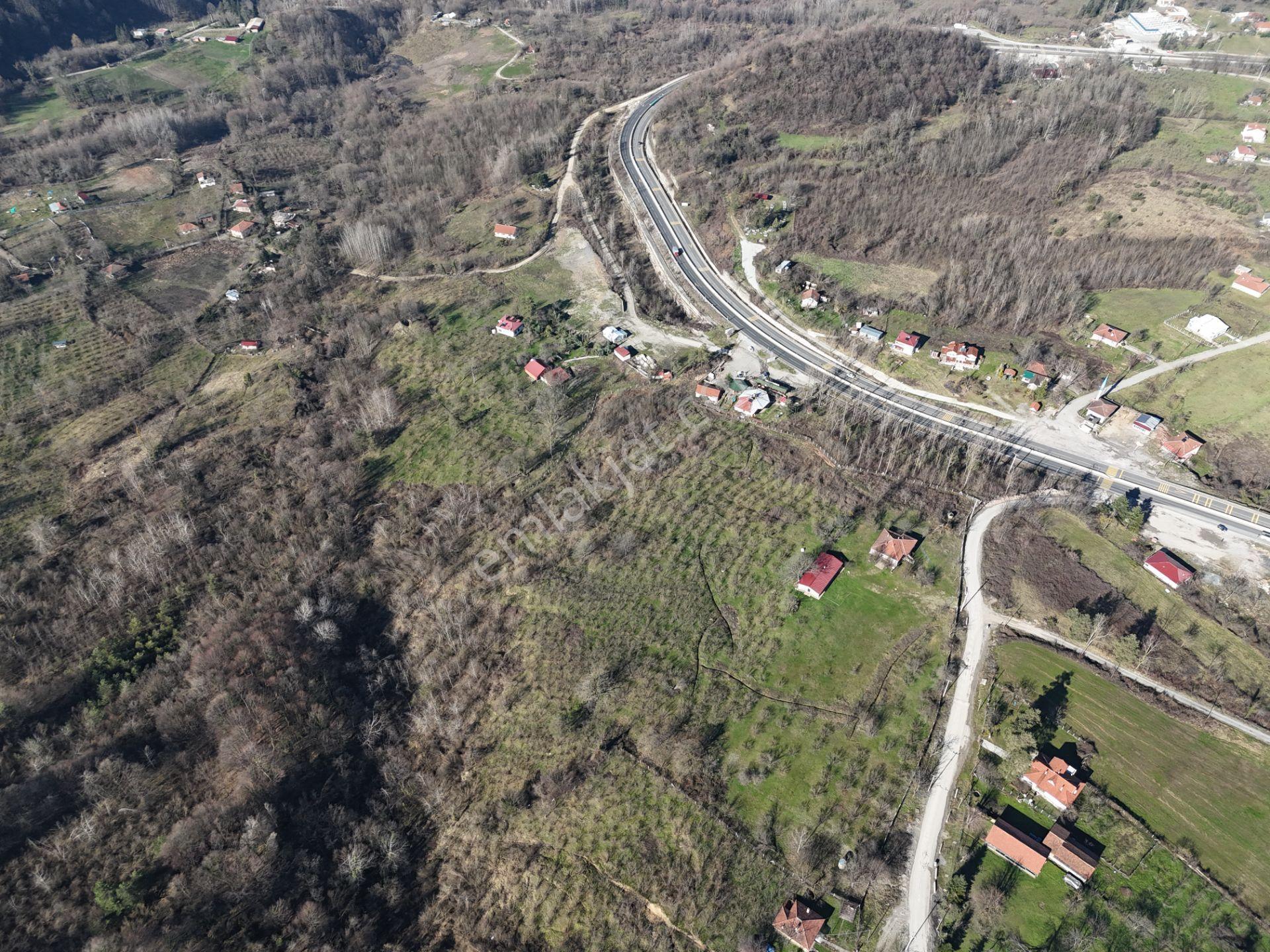 | Epa Uğur Düzce | Şok M2 Fiyatlı Satılık Tarlalar - Görsel 5