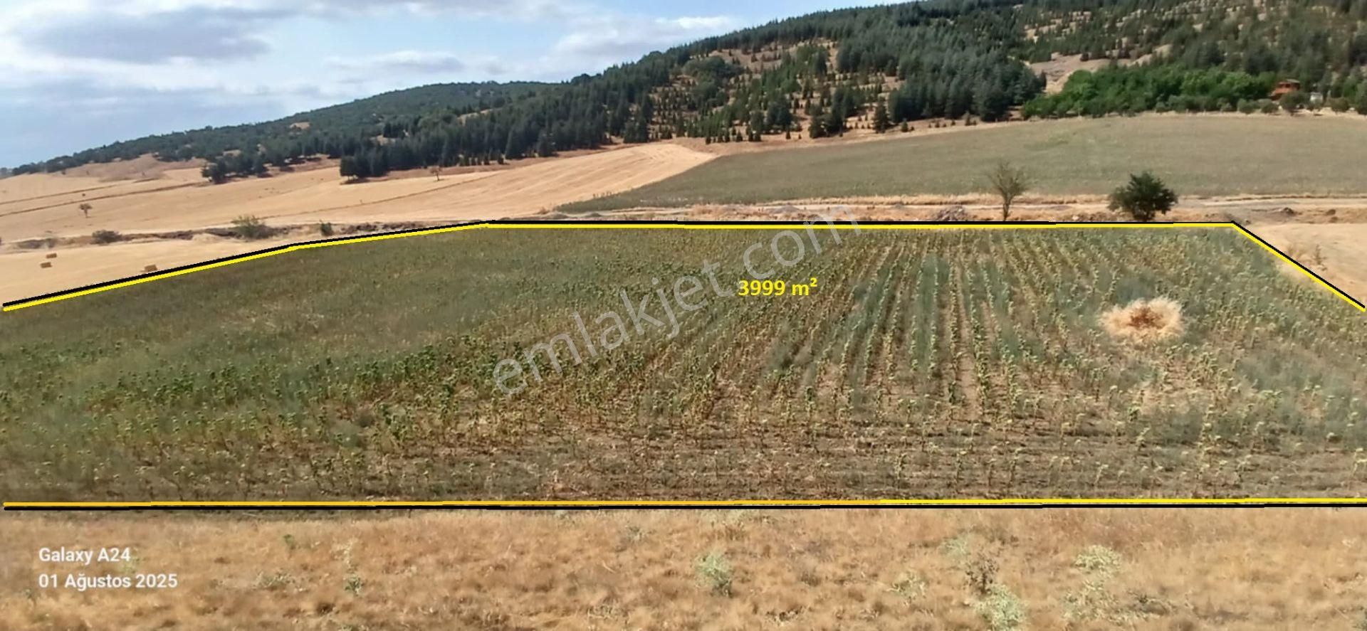Bilecik Bozüyük Yeni Çepni Köyünde Satılık Arazi