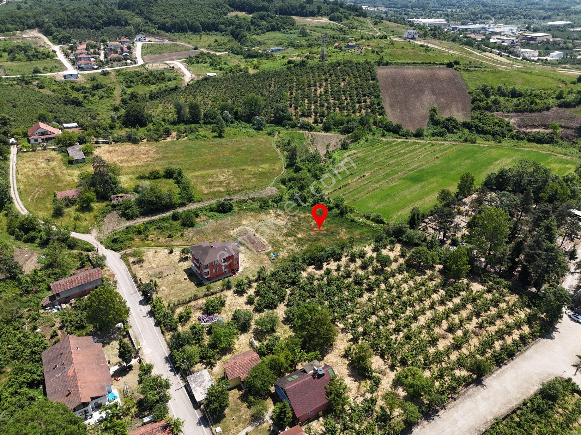 | Epa Uğur Düzce | Çilimlide Satılık İmarlı Arsalar Takas Var - Görsel 9