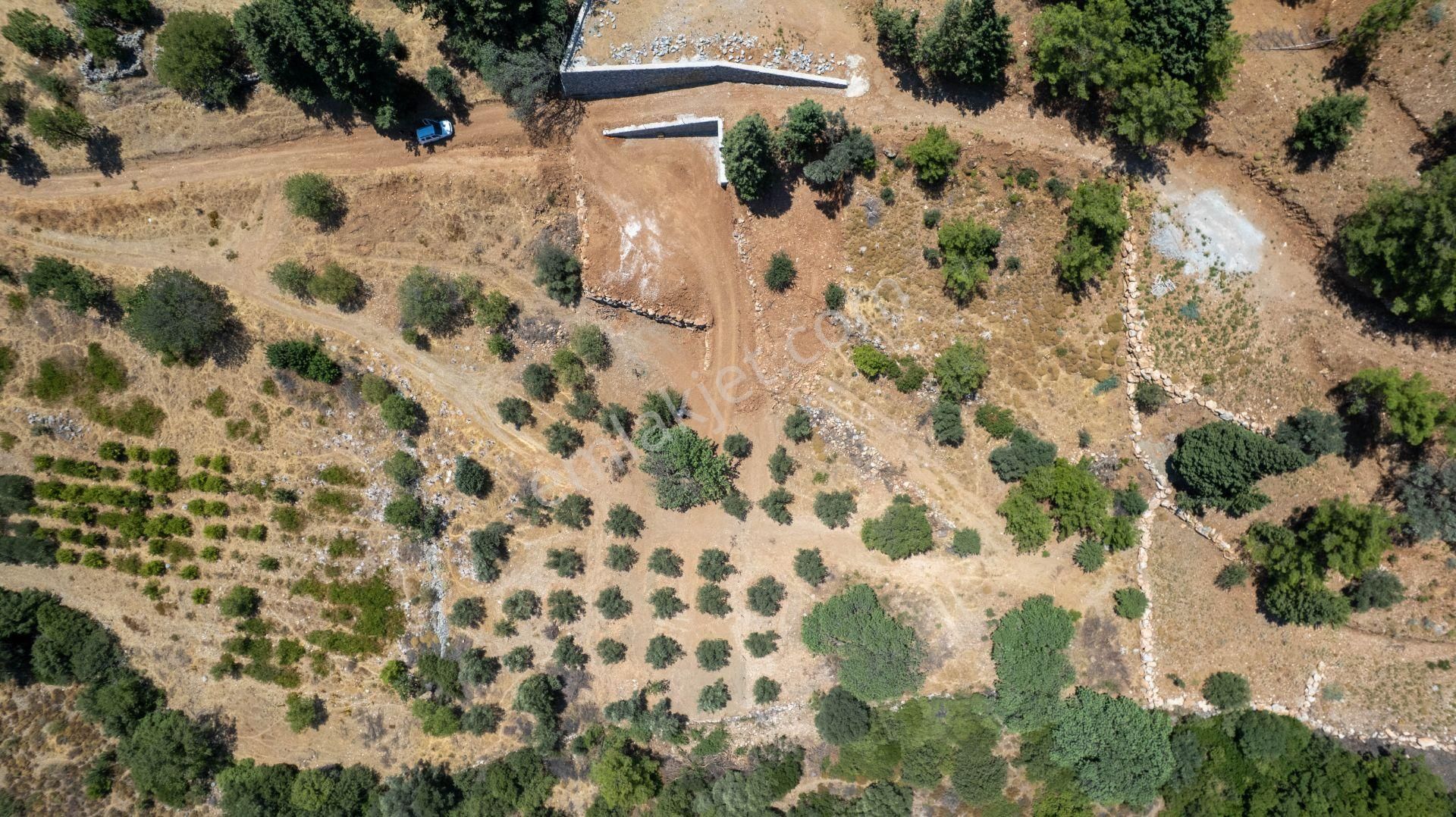 Datça Hızırşah'ta Satılık 916,40m2 Zeytinlik Tarla - Görsel 8