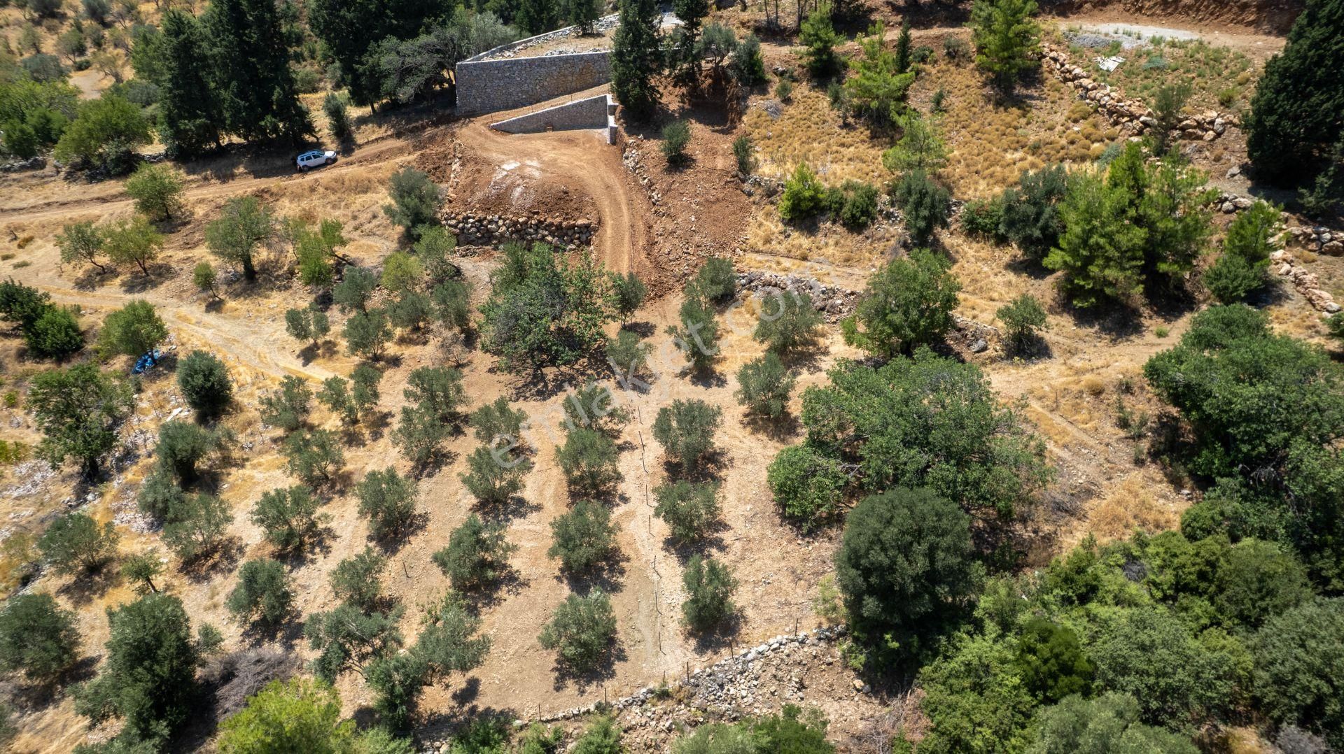 Datça Hızırşah'ta Satılık 916,40m2 Zeytinlik Tarla - Görsel 31