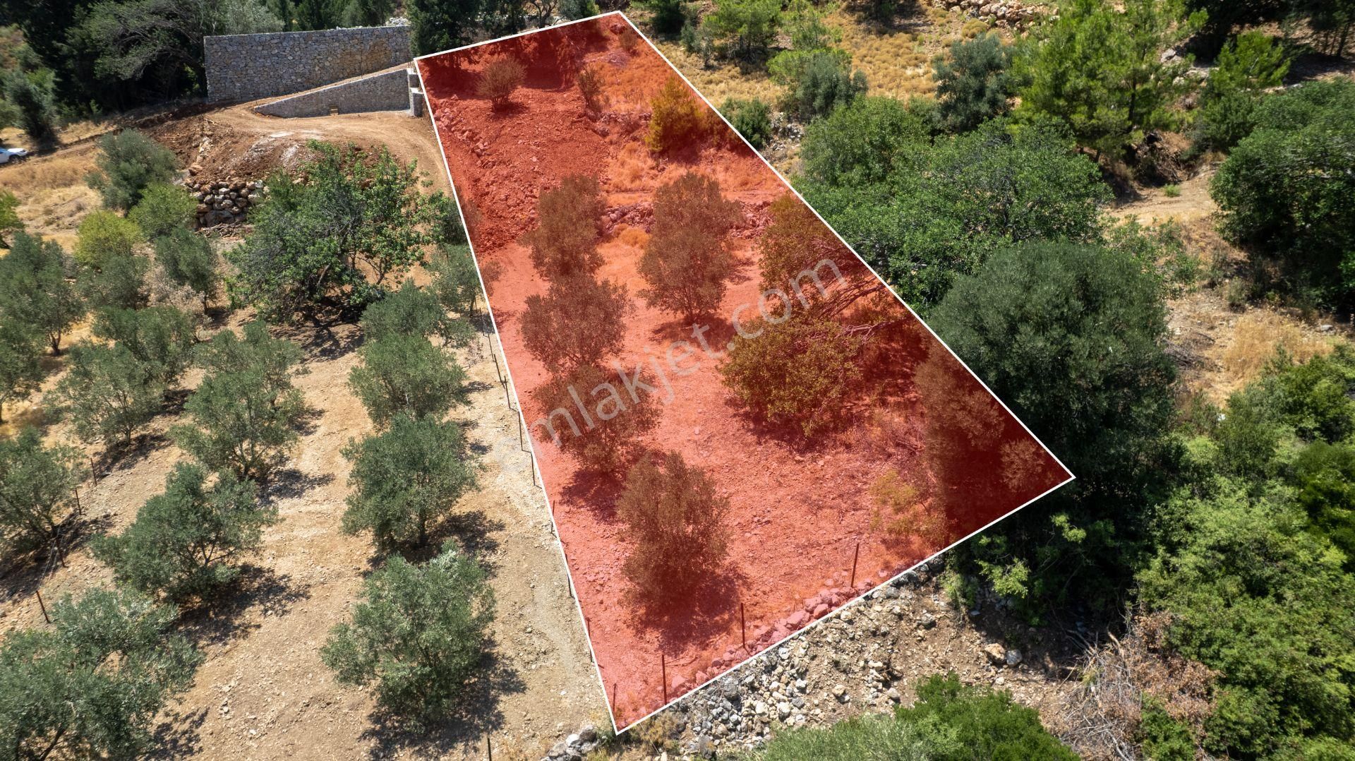 Datça Hızırşah'ta Satılık 916,40m2 Zeytinlik Tarla - Görsel 29