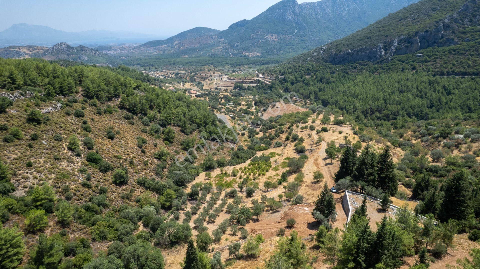 Datça Hızırşah'ta Satılık 916,40m2 Zeytinlik Tarla - Görsel 24