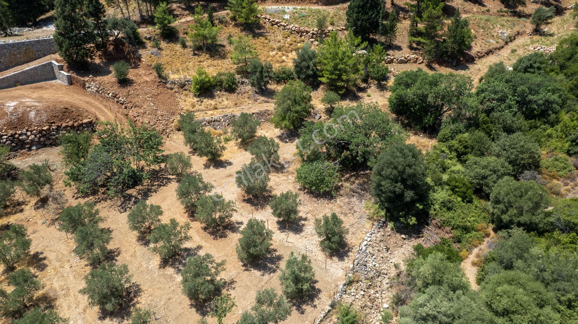 Datça Hızırşah'ta Satılık 916,40m2 Zeytinlik Tarla - Görsel 33