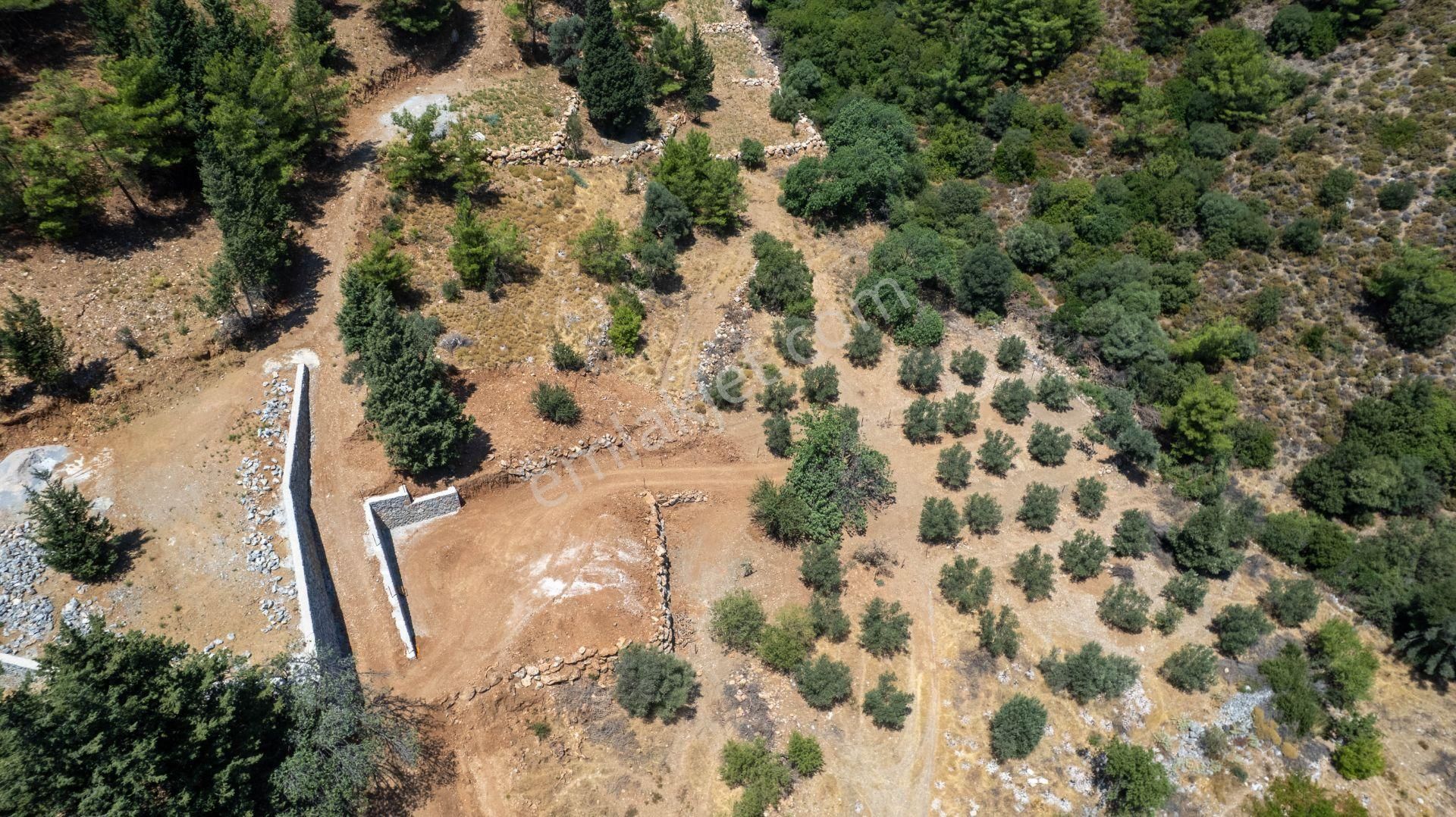 Datça Hızırşah'ta Satılık 916,40m2 Zeytinlik Tarla - Görsel 2