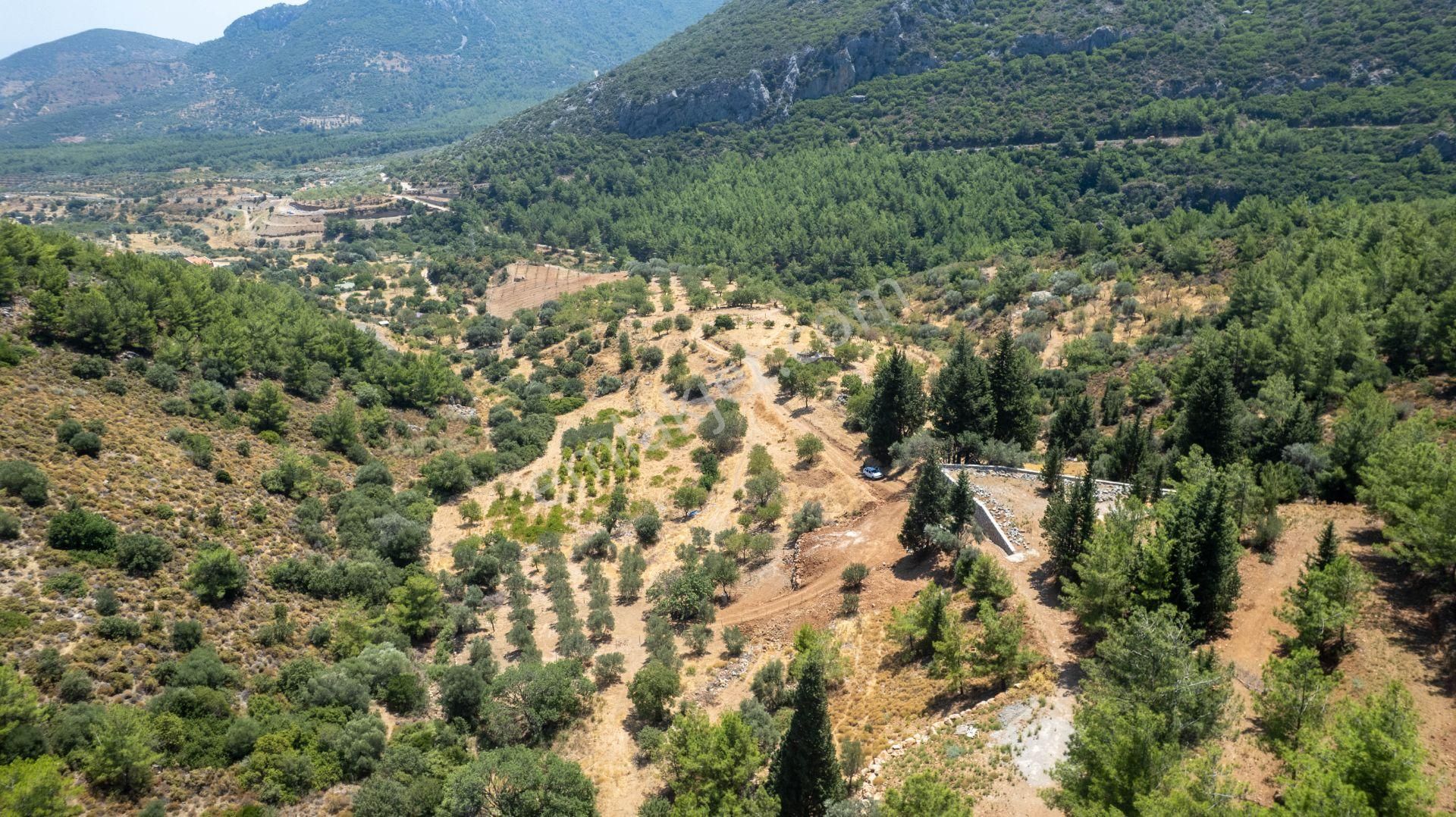 Datça Hızırşah'ta Satılık 916,40m2 Zeytinlik Tarla - Görsel 21