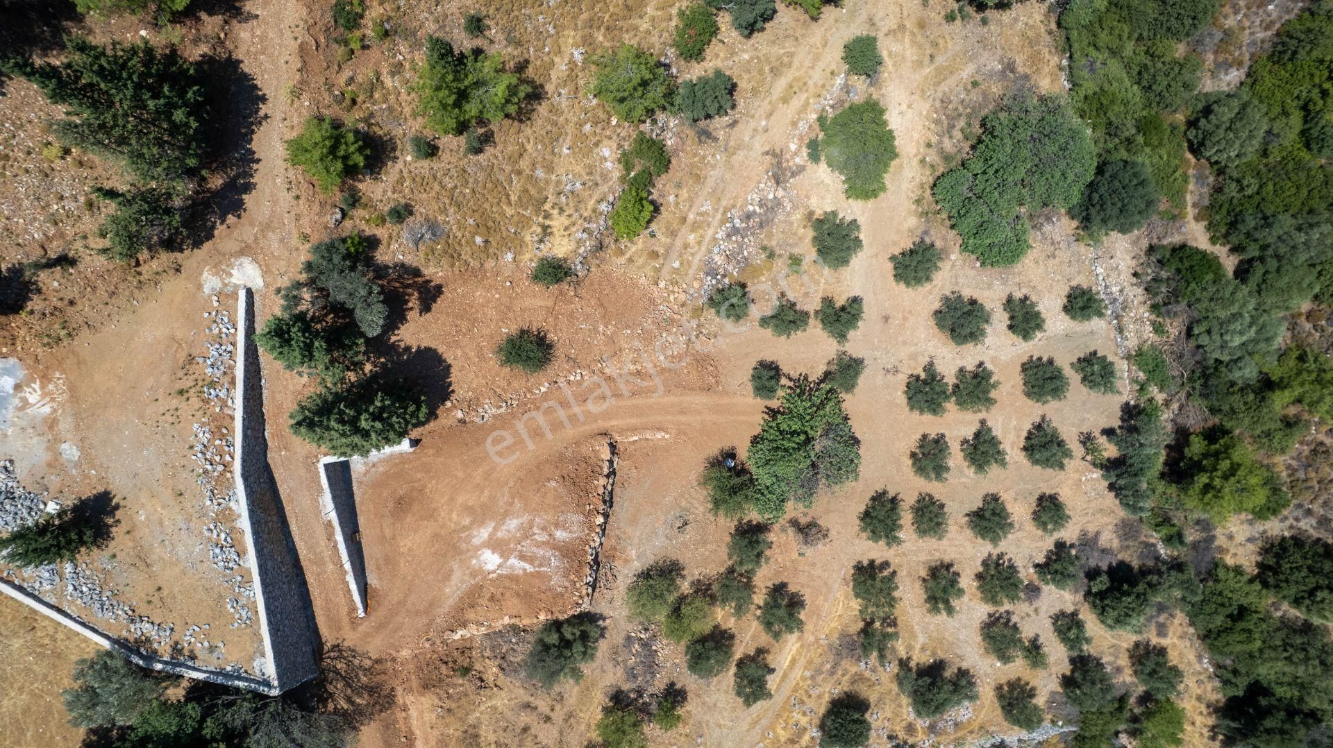 Datça Hızırşah'ta Satılık 916,40m2 Zeytinlik Tarla - Görsel 20