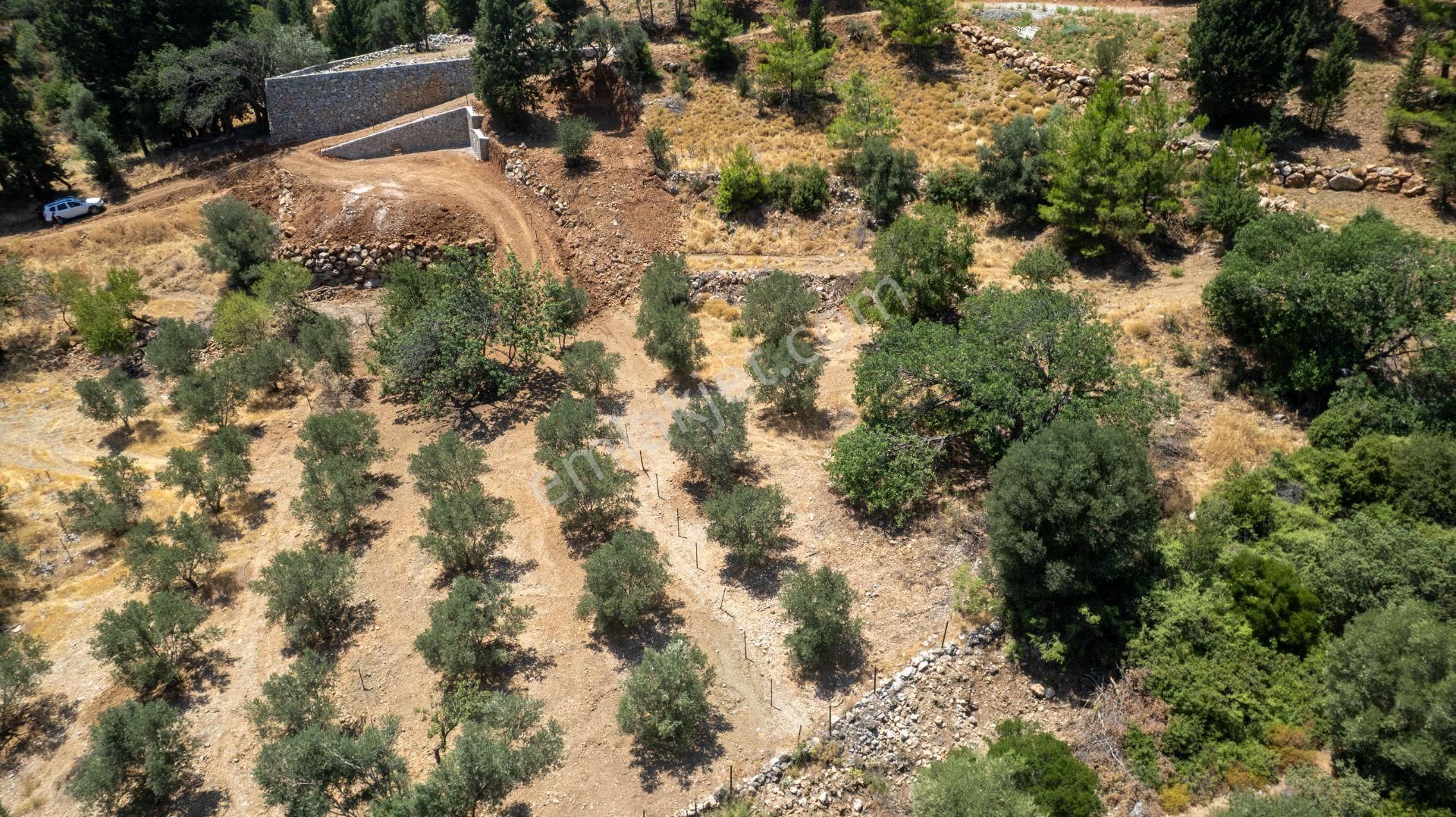 Datça Hızırşah'ta Satılık 916,40m2 Zeytinlik Tarla - Görsel 32