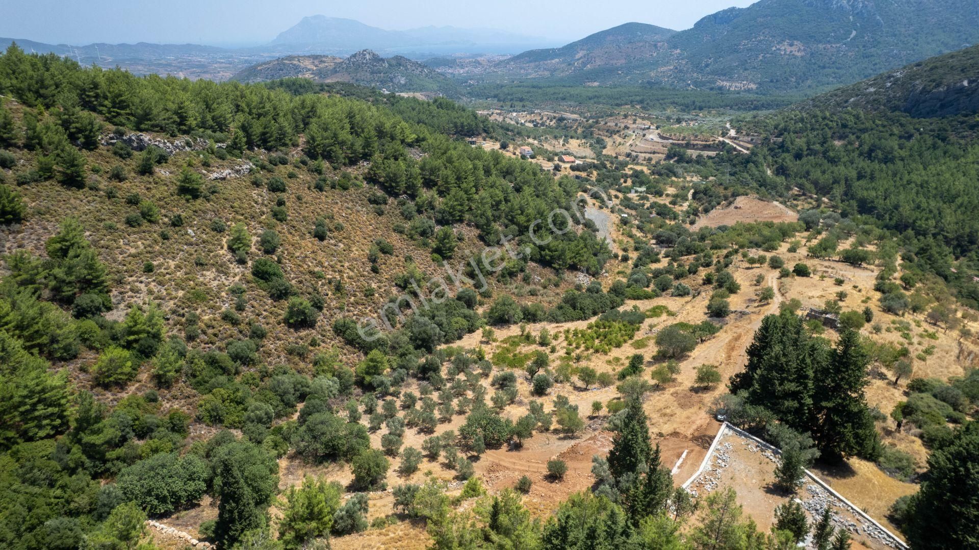 Datça Hızırşah'ta Satılık 916,40m2 Zeytinlik Tarla - Görsel 26