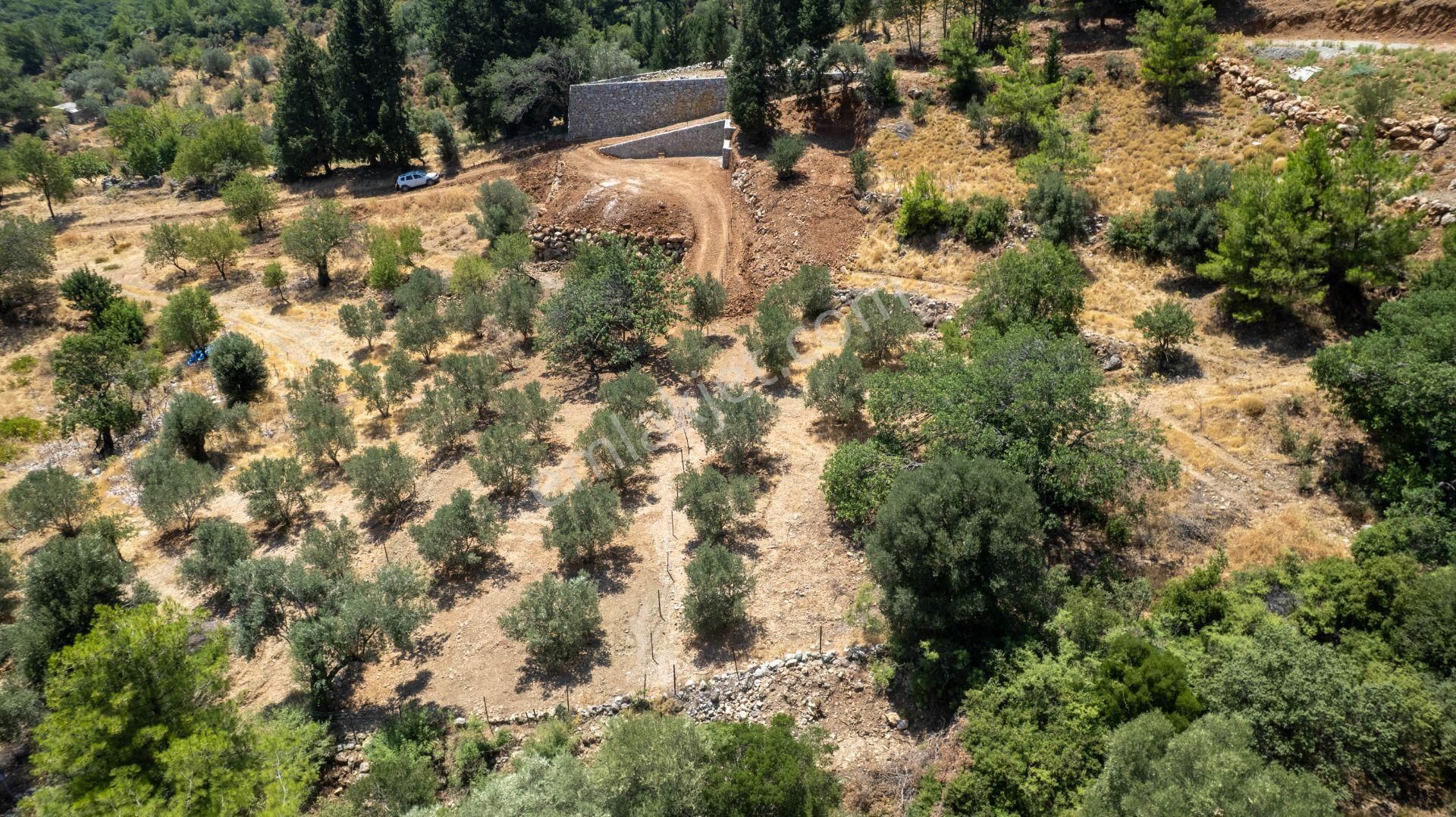 Datça Hızırşah'ta Satılık 916,40m2 Zeytinlik Tarla - Görsel 30