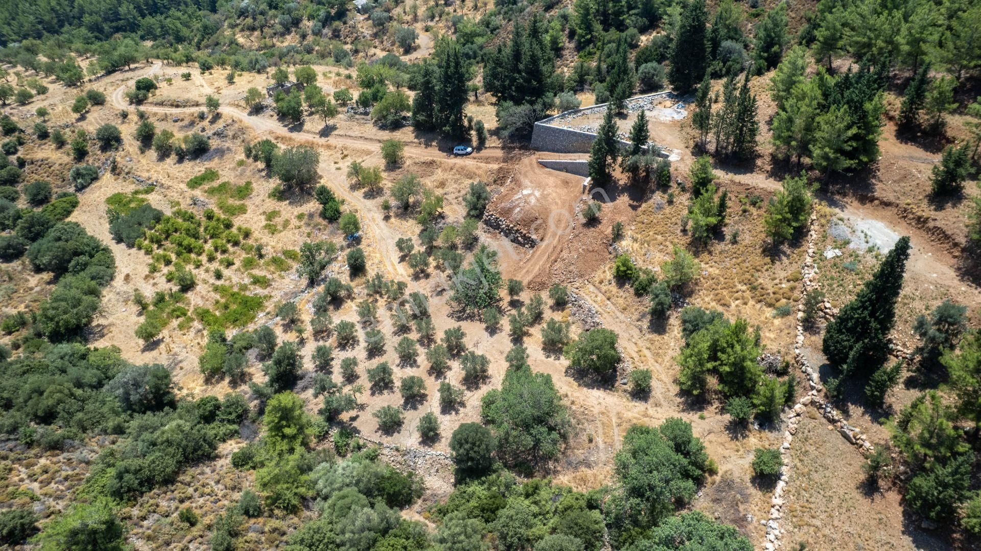 Datça Hızırşah'ta Satılık 916,40m2 Zeytinlik Tarla - Görsel 4