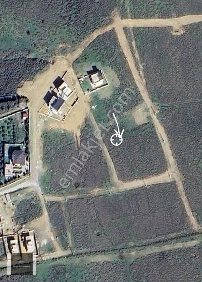 Seferihirar Düzce Takas Seçenekli 450 M2 Müstakil Arsa