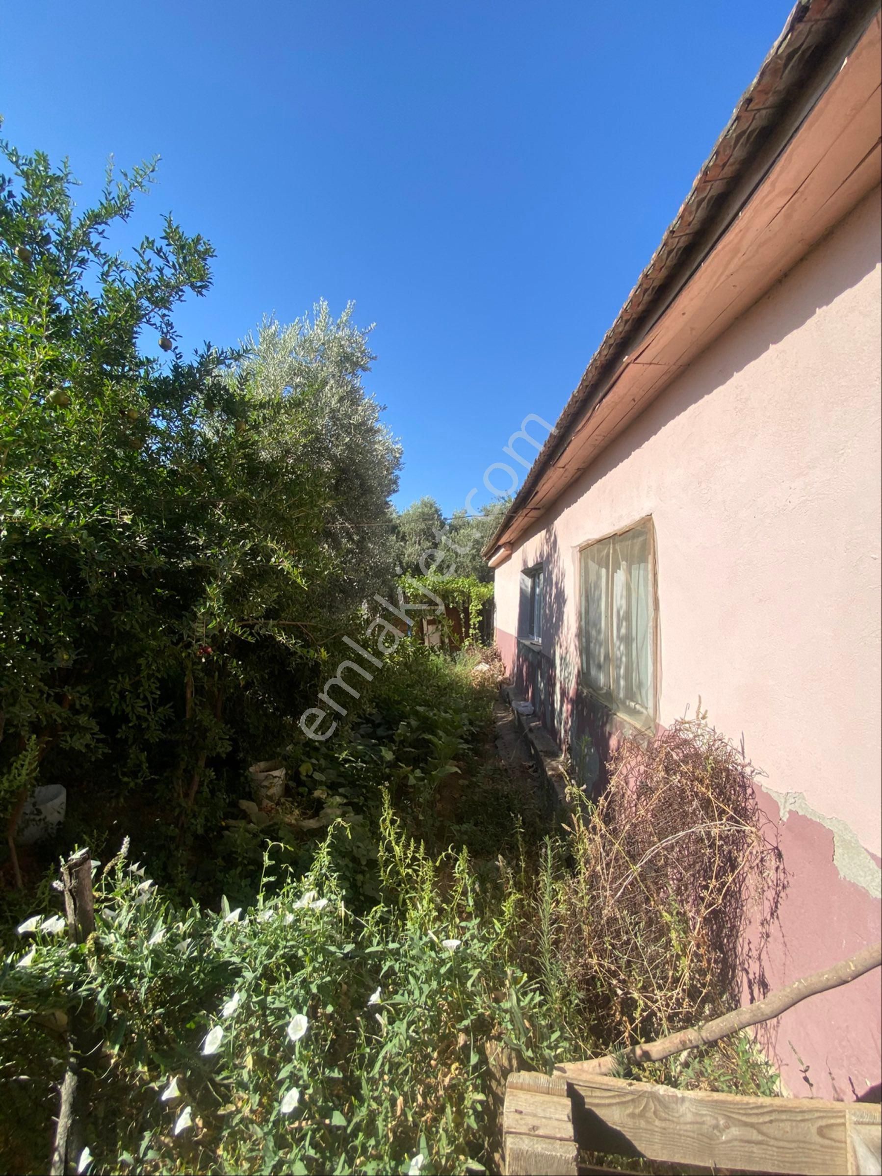 Bayındır Çırpı Köyü Kaçırılmaz Arsa + 2 Geniş Konut - Görsel 15