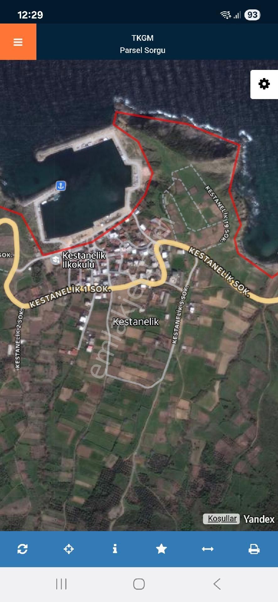 Çakır Emlakdan Satılık 1600m2 Zeytinlik
