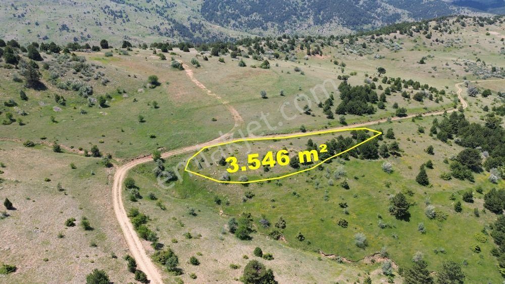 Konya / Ilgın / Gökçeyurt-özlem Mahallesinde 3.546 M² Müstakil Tapulu Tarla