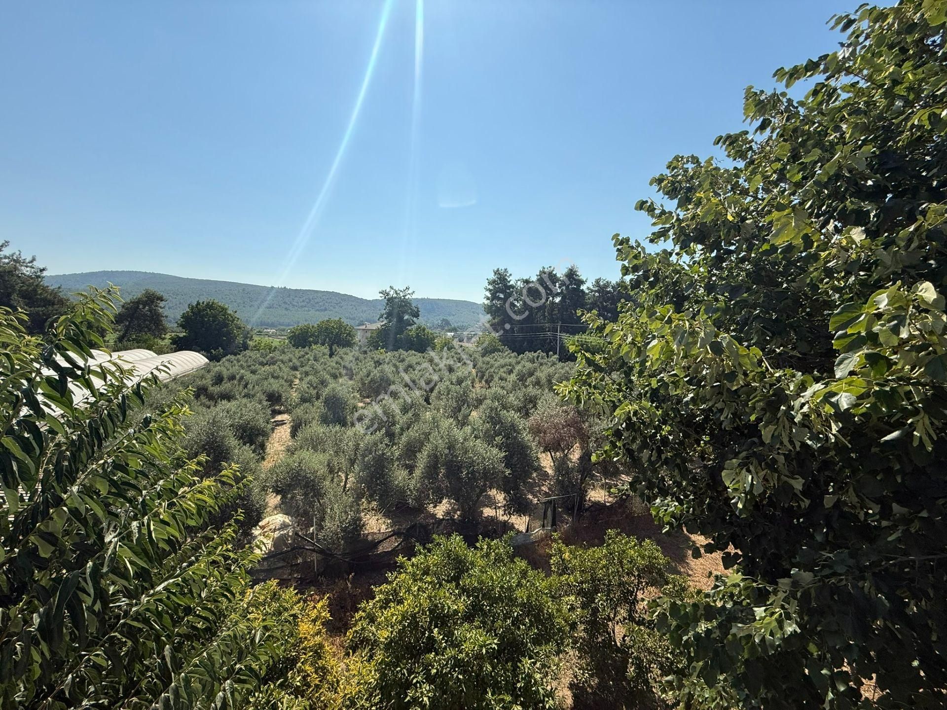 Menderes'te Satılık Tarla Ve Müstakil Ev - Görsel 30