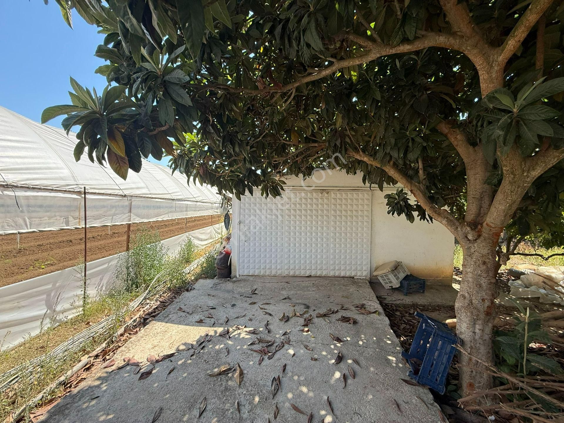 Menderes'te Satılık Tarla Ve Müstakil Ev - Görsel 32