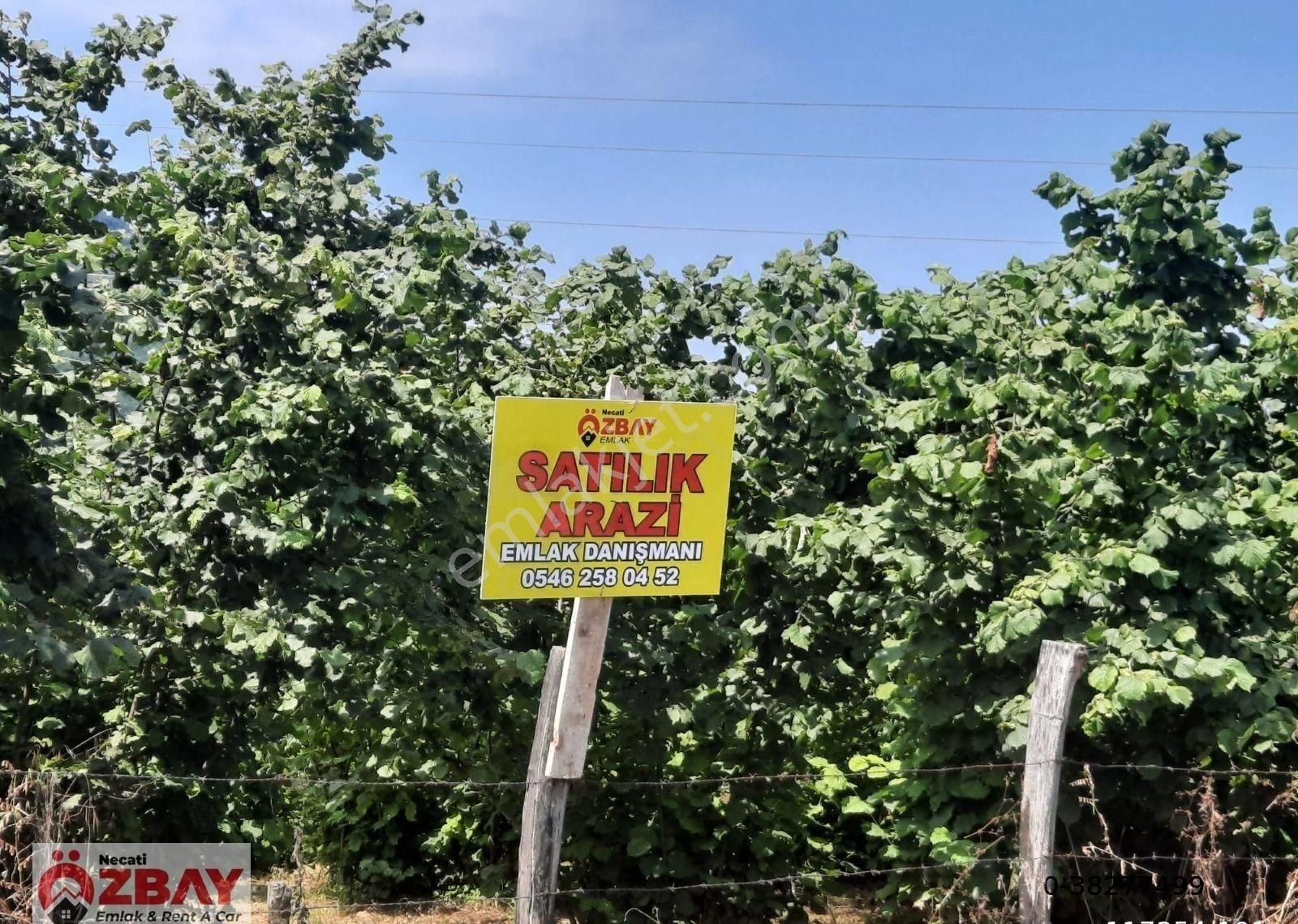 Öcelide Yatırımlılık Satılık Arsa