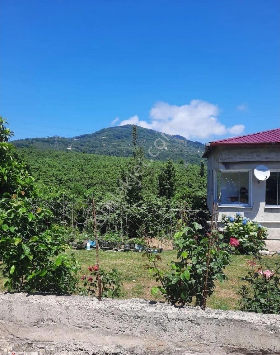Öcelide Yatırımlılık Satılık Arsa - Görsel 19