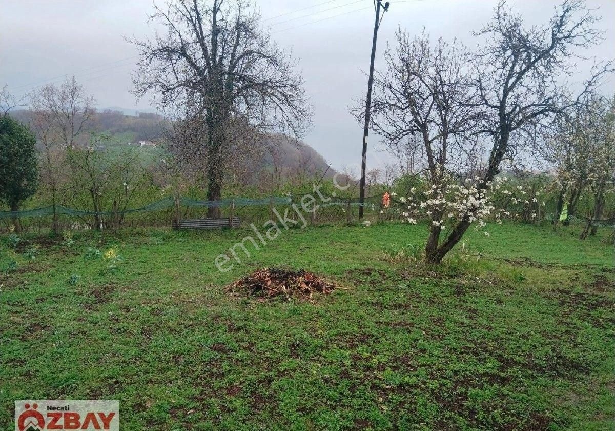 Perşembe'de 5 Dönüm Deniz Ve Doğa Manzaralı Arazi Ve İki Katlı Ev - Görsel 11