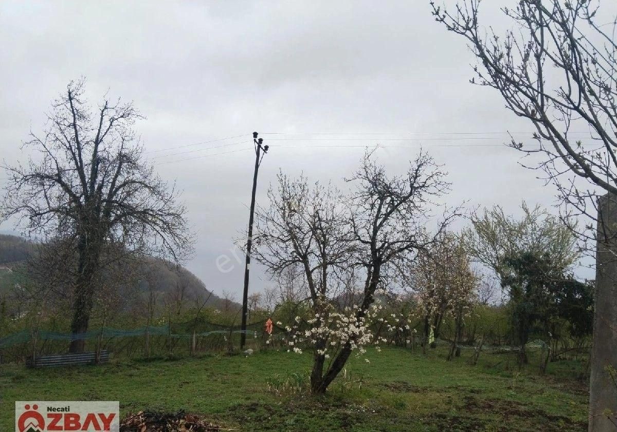 Perşembe'de 5 Dönüm Deniz Ve Doğa Manzaralı Arazi Ve İki Katlı Ev - Görsel 15