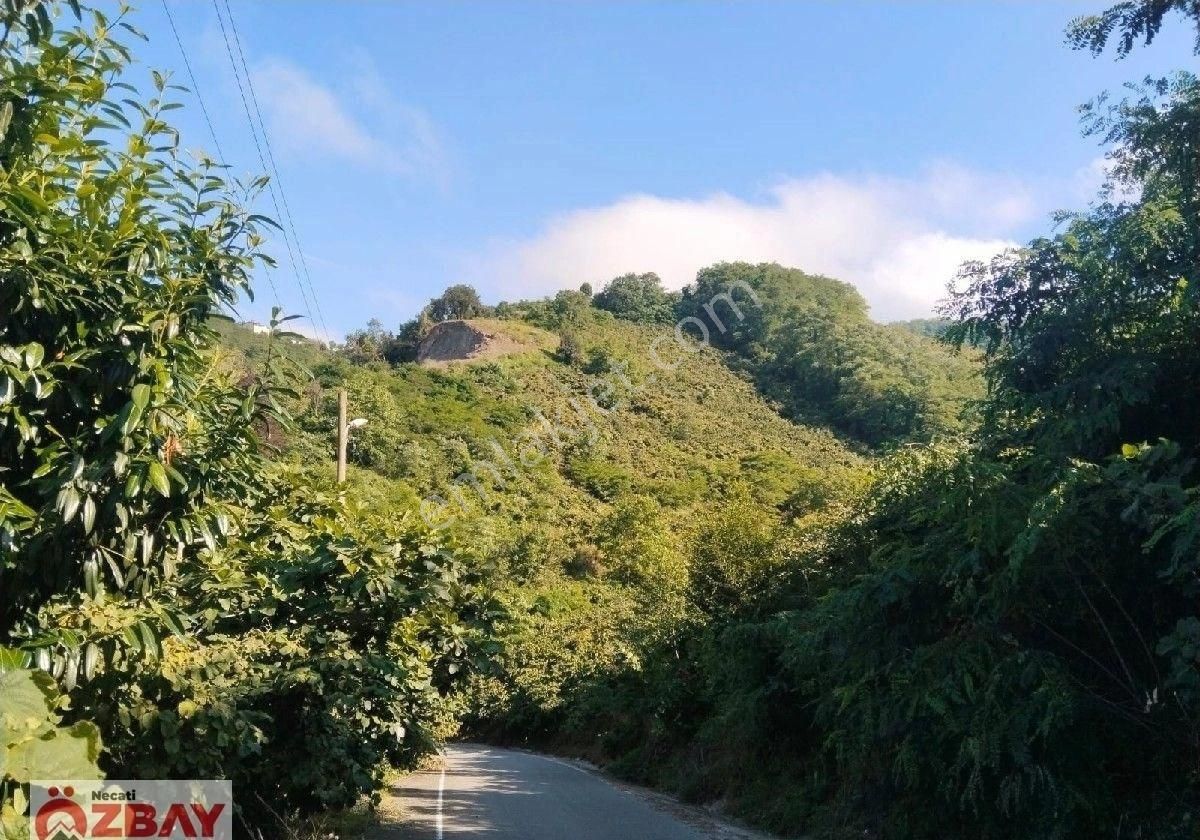 Deniz Manzaralı 15 Dönüm Satılık Villalık Arazi - Görsel 11
