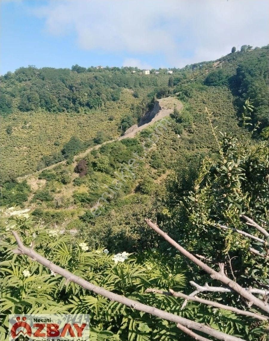 Deniz Manzaralı 15 Dönüm Satılık Villalık Arazi - Görsel 10