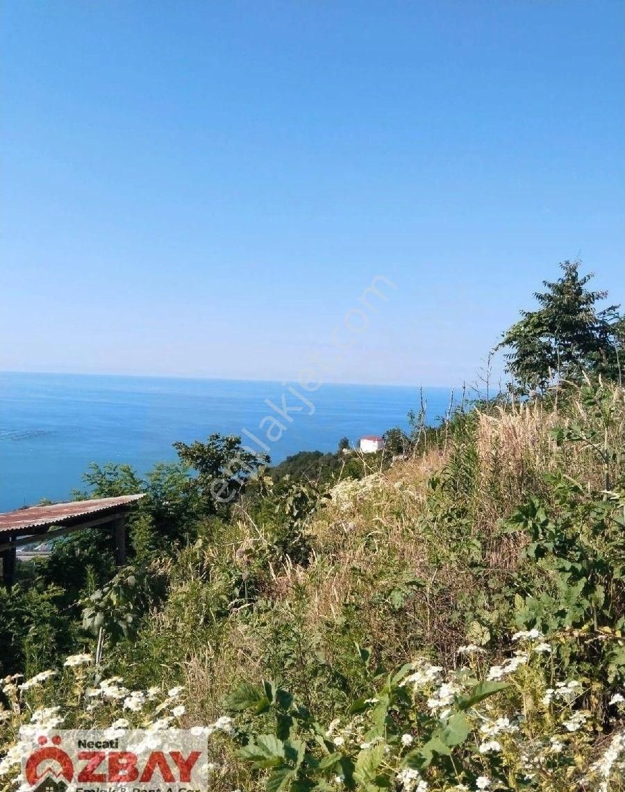 Deniz Manzaralı 15 Dönüm Satılık Villalık Arazi - Görsel 4