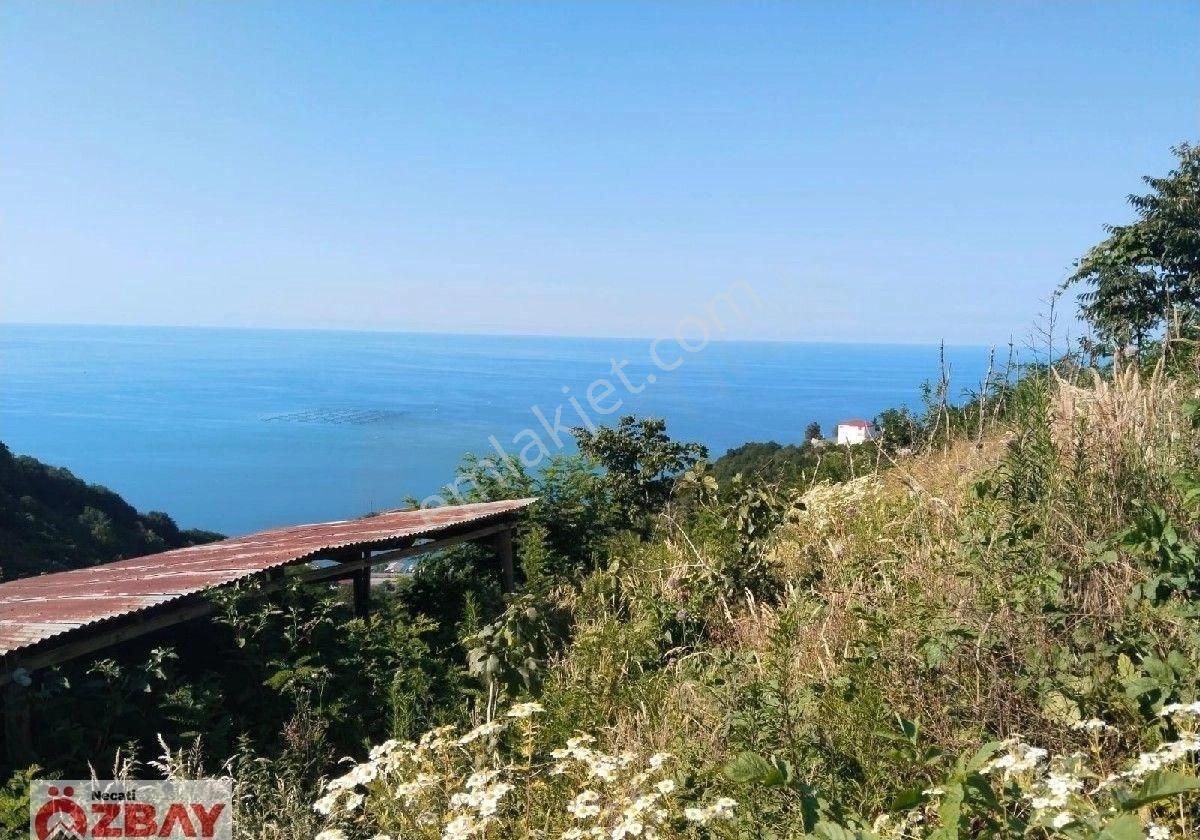 Deniz Manzaralı 15 Dönüm Satılık Villalık Arazi - Görsel 9