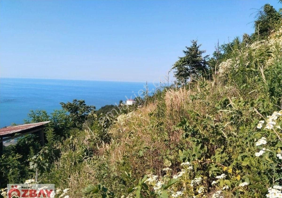 Deniz Manzaralı 15 Dönüm Satılık Villalık Arazi - Görsel 2