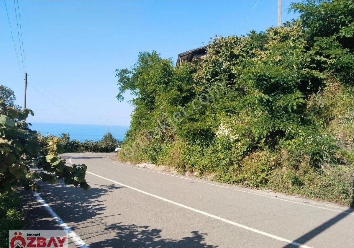 Deniz Manzaralı 15 Dönüm Satılık Villalık Arazi - Görsel 12