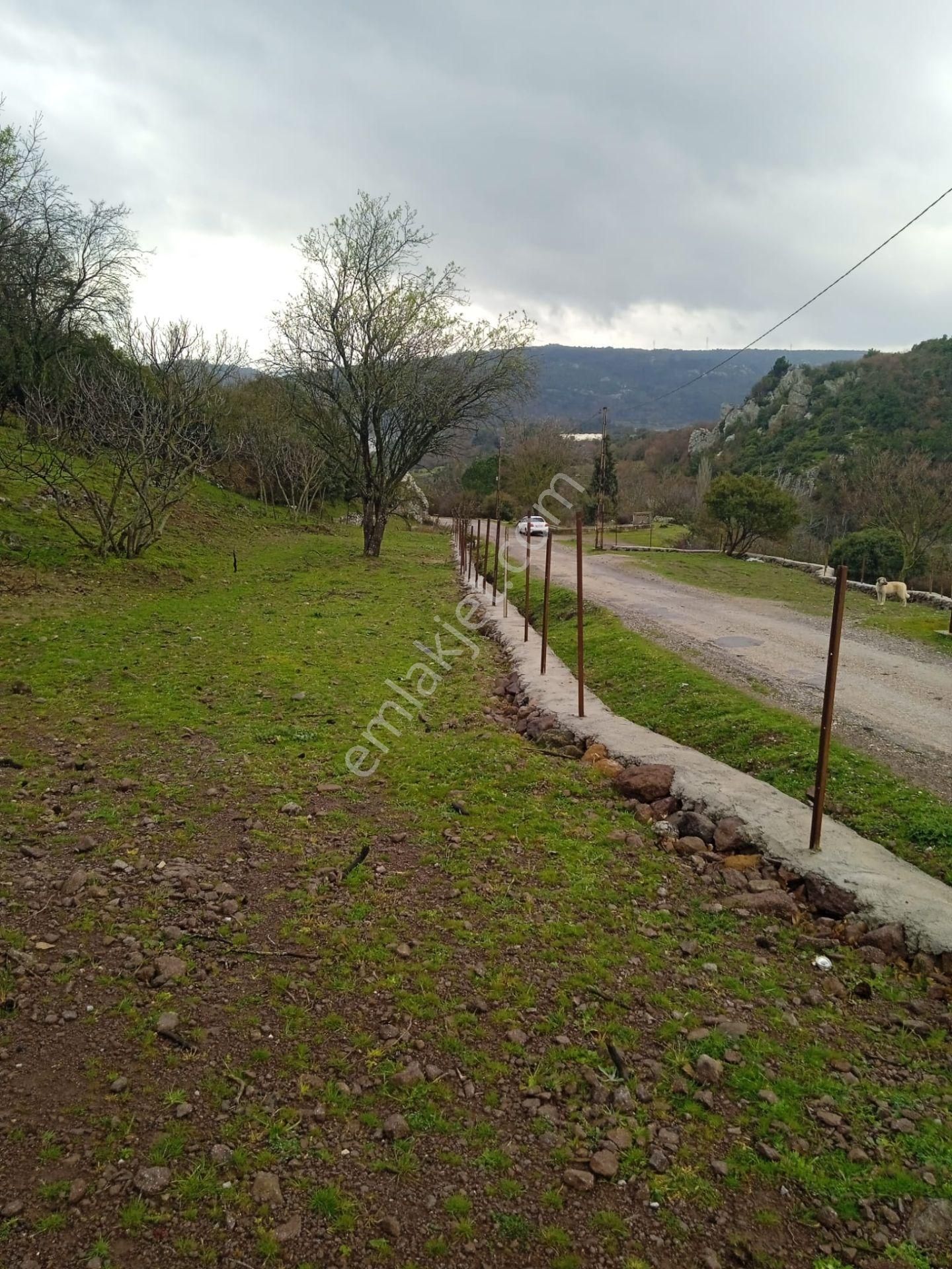 Çanakkale Ayvacık Küçükhusun'da Satılık Tarla - Görsel 3