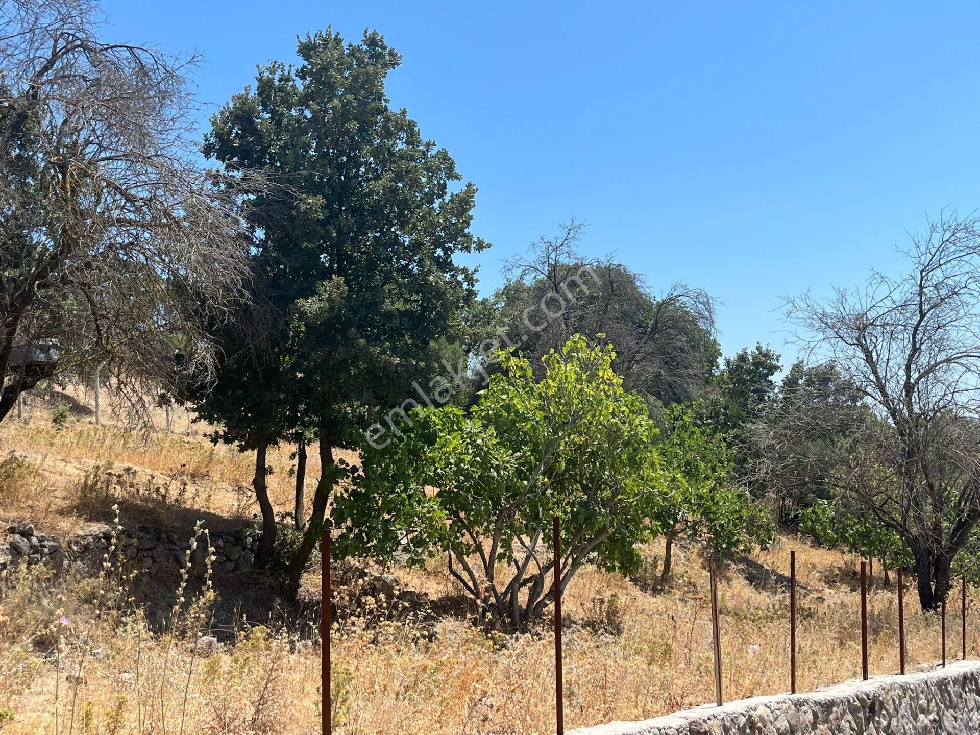 Çanakkale Ayvacık Küçükhusun'da Satılık Tarla - Görsel 14