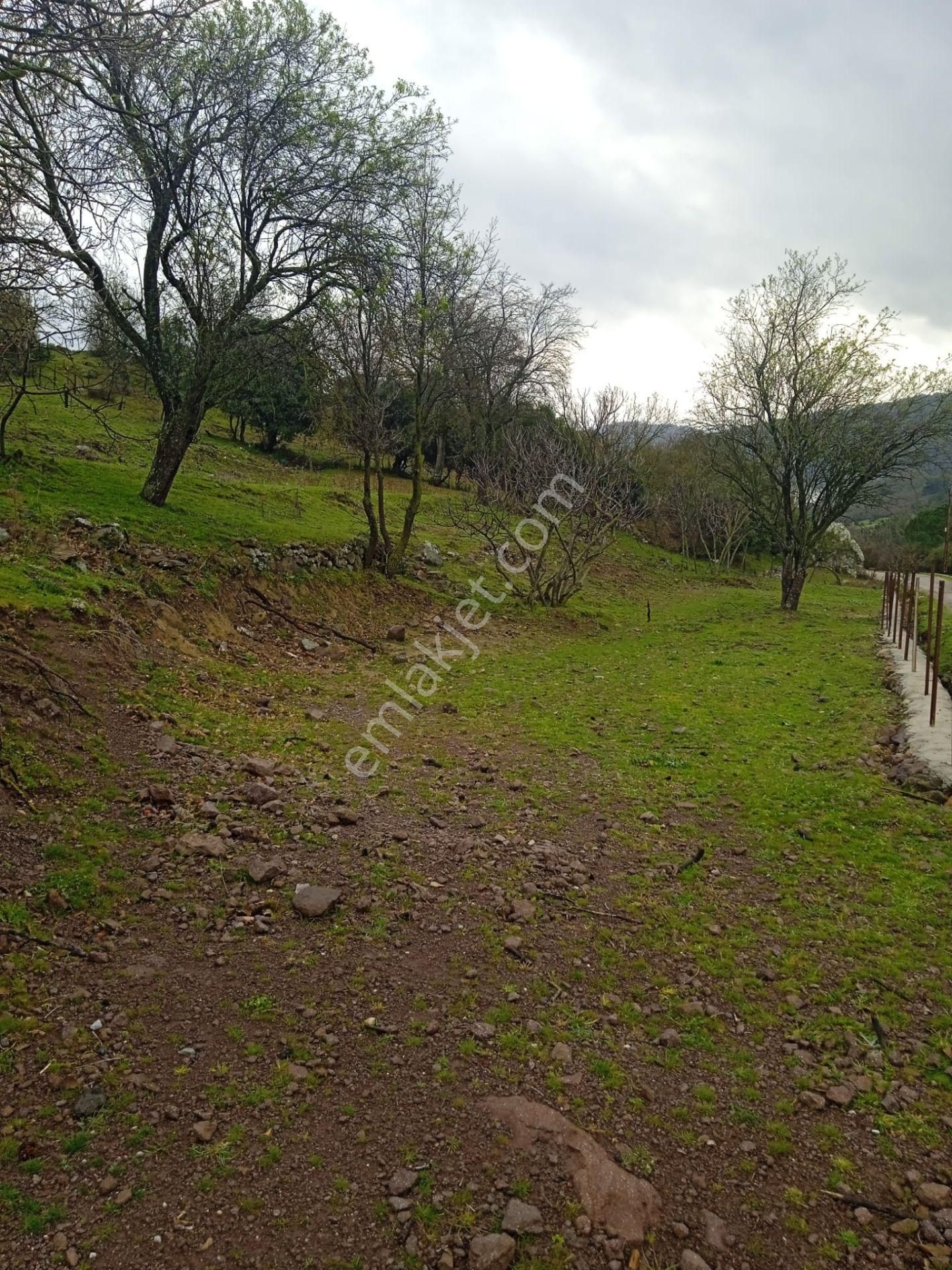 Çanakkale Ayvacık Küçükhusun'da Satılık Tarla - Görsel 6