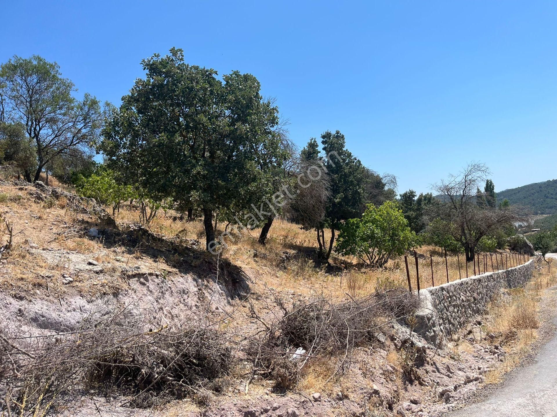 Çanakkale Ayvacık Küçükhusun'da Satılık Tarla - Görsel 17