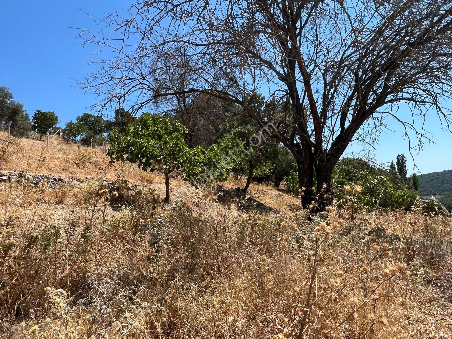 Çanakkale Ayvacık Küçükhusun'da Satılık Tarla - Görsel 11