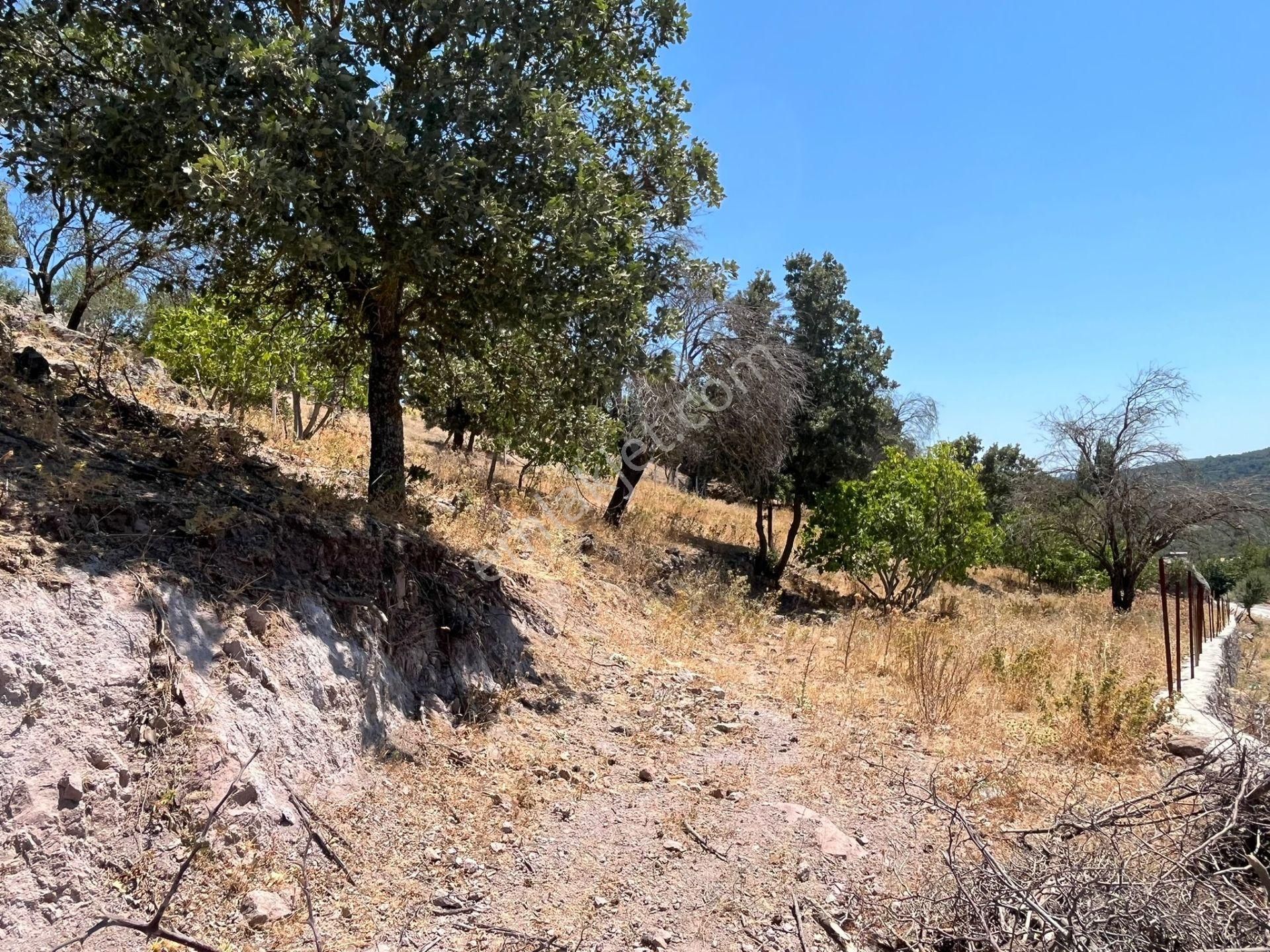 Çanakkale Ayvacık Küçükhusun'da Satılık Tarla - Görsel 9