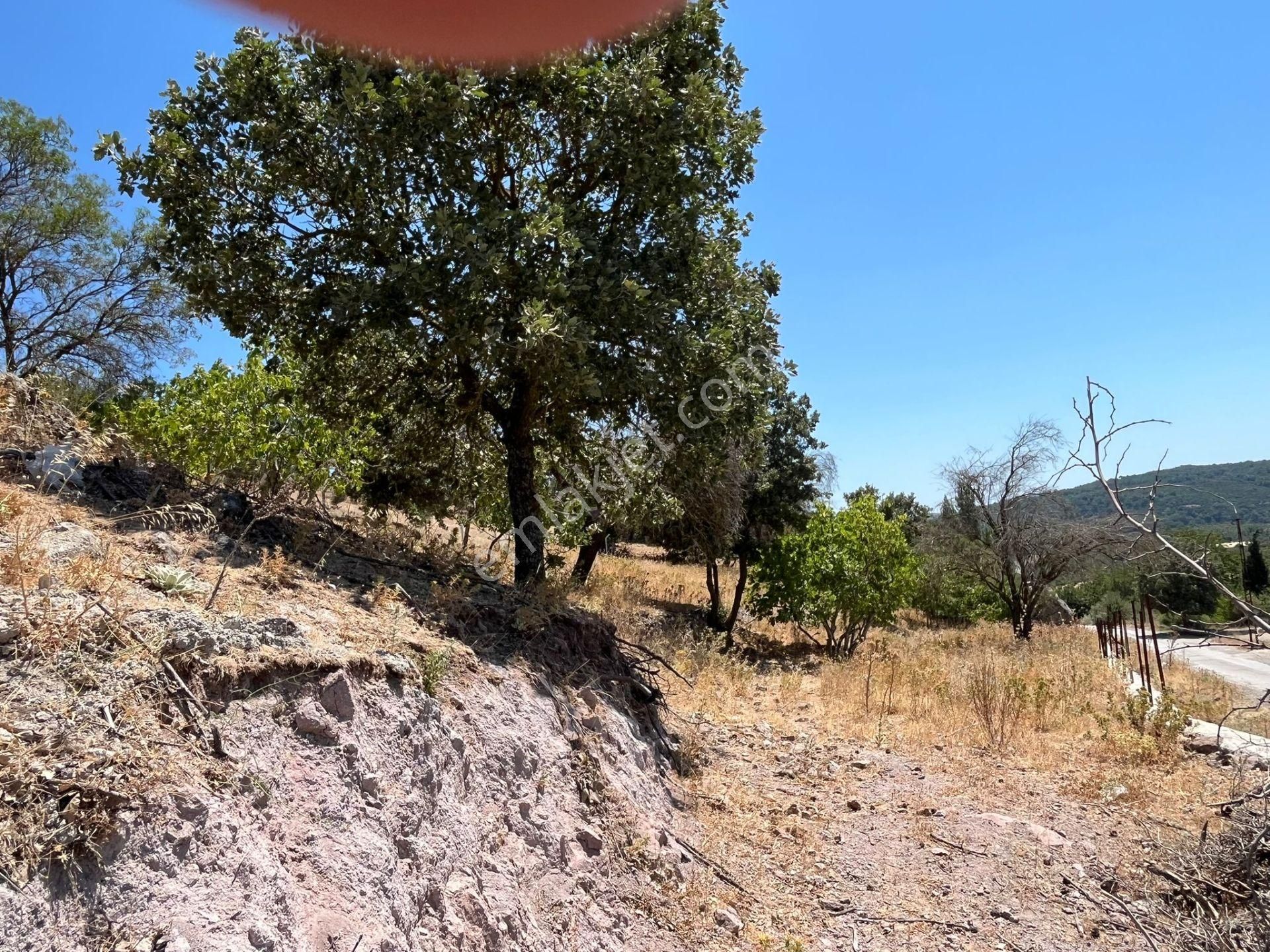 Çanakkale Ayvacık Küçükhusun'da Satılık Tarla