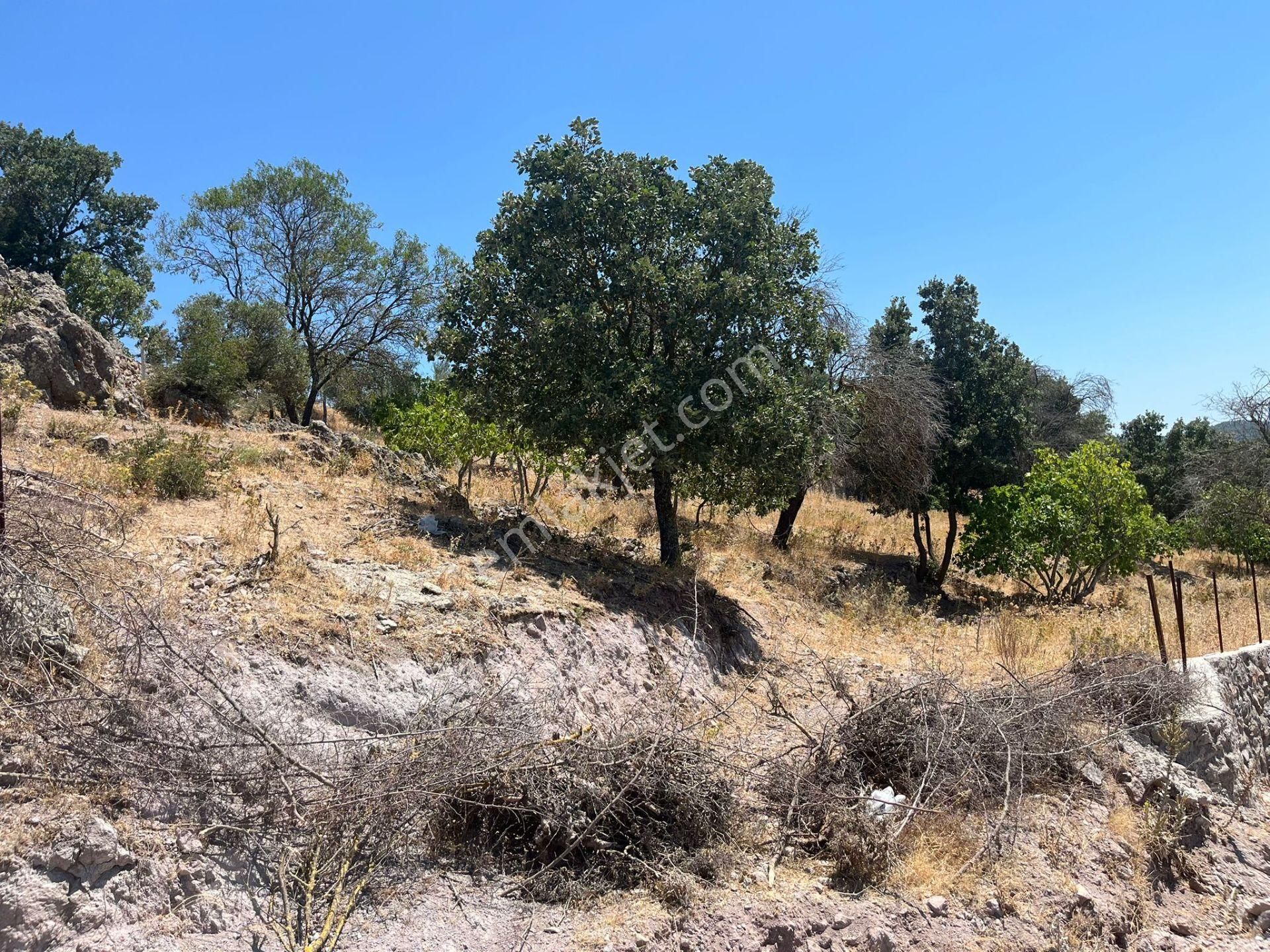 Çanakkale Ayvacık Küçükhusun'da Satılık Tarla - Görsel 15