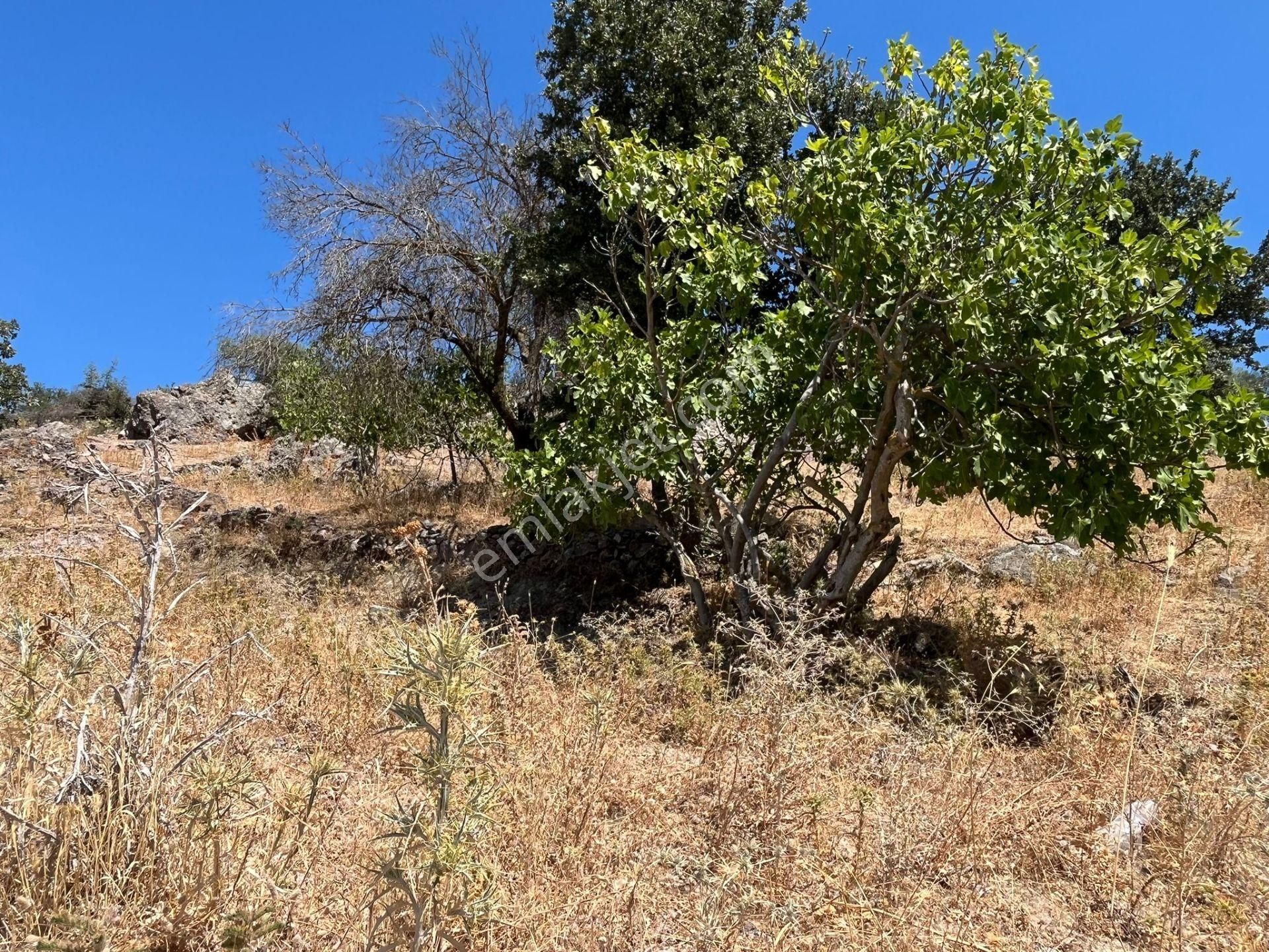 Çanakkale Ayvacık Küçükhusun'da Satılık Tarla - Görsel 10