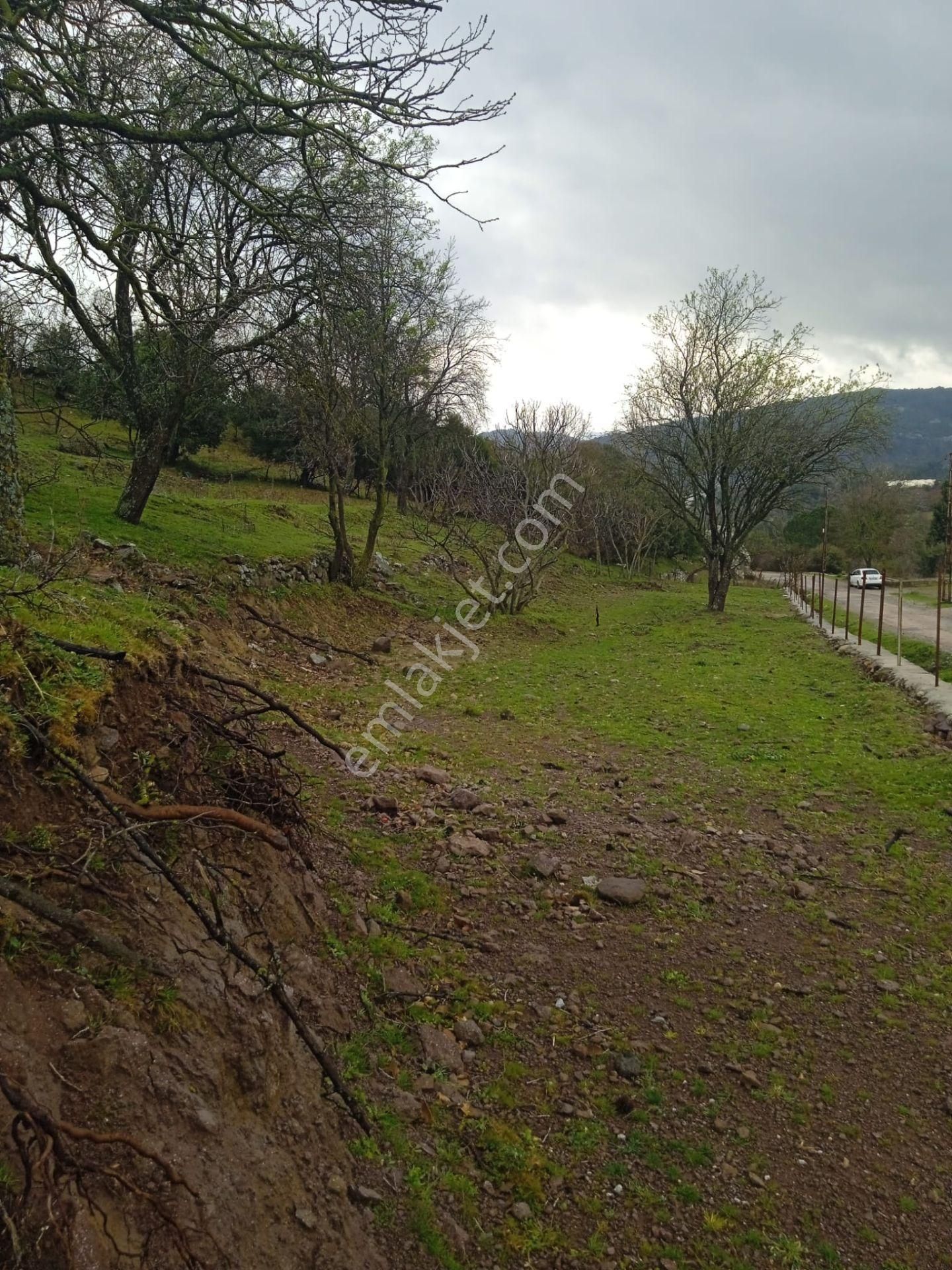 Çanakkale Ayvacık Küçükhusun'da Satılık Tarla - Görsel 5