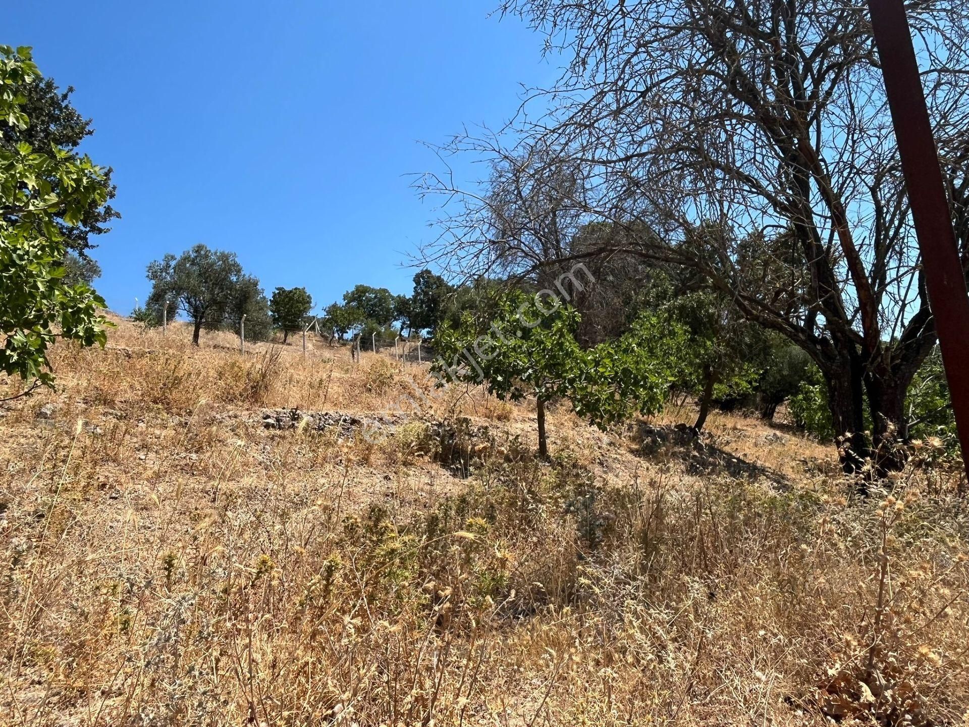 Çanakkale Ayvacık Küçükhusun'da Satılık Tarla - Görsel 13