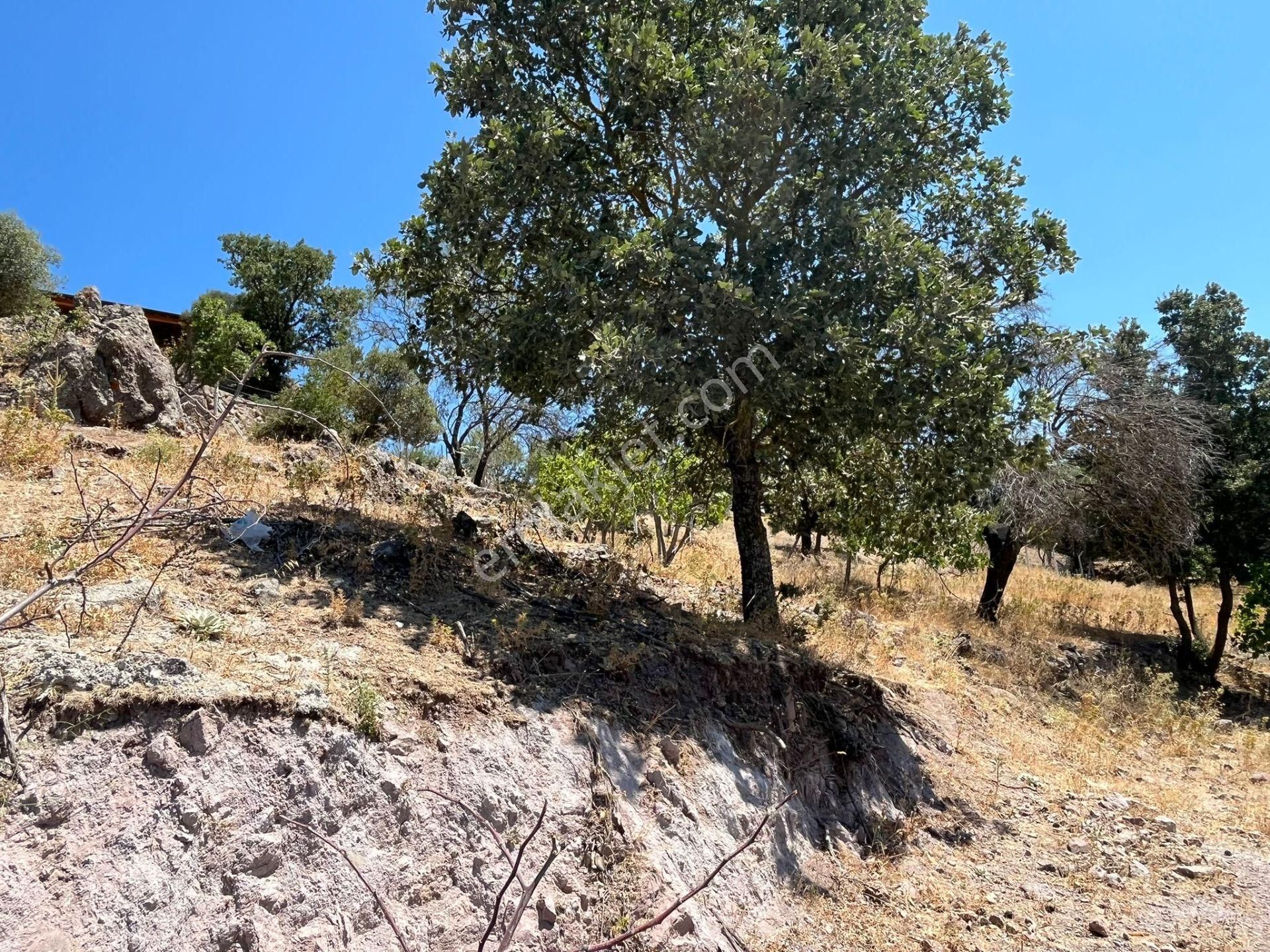 Çanakkale Ayvacık Küçükhusun'da Satılık Tarla - Görsel 8