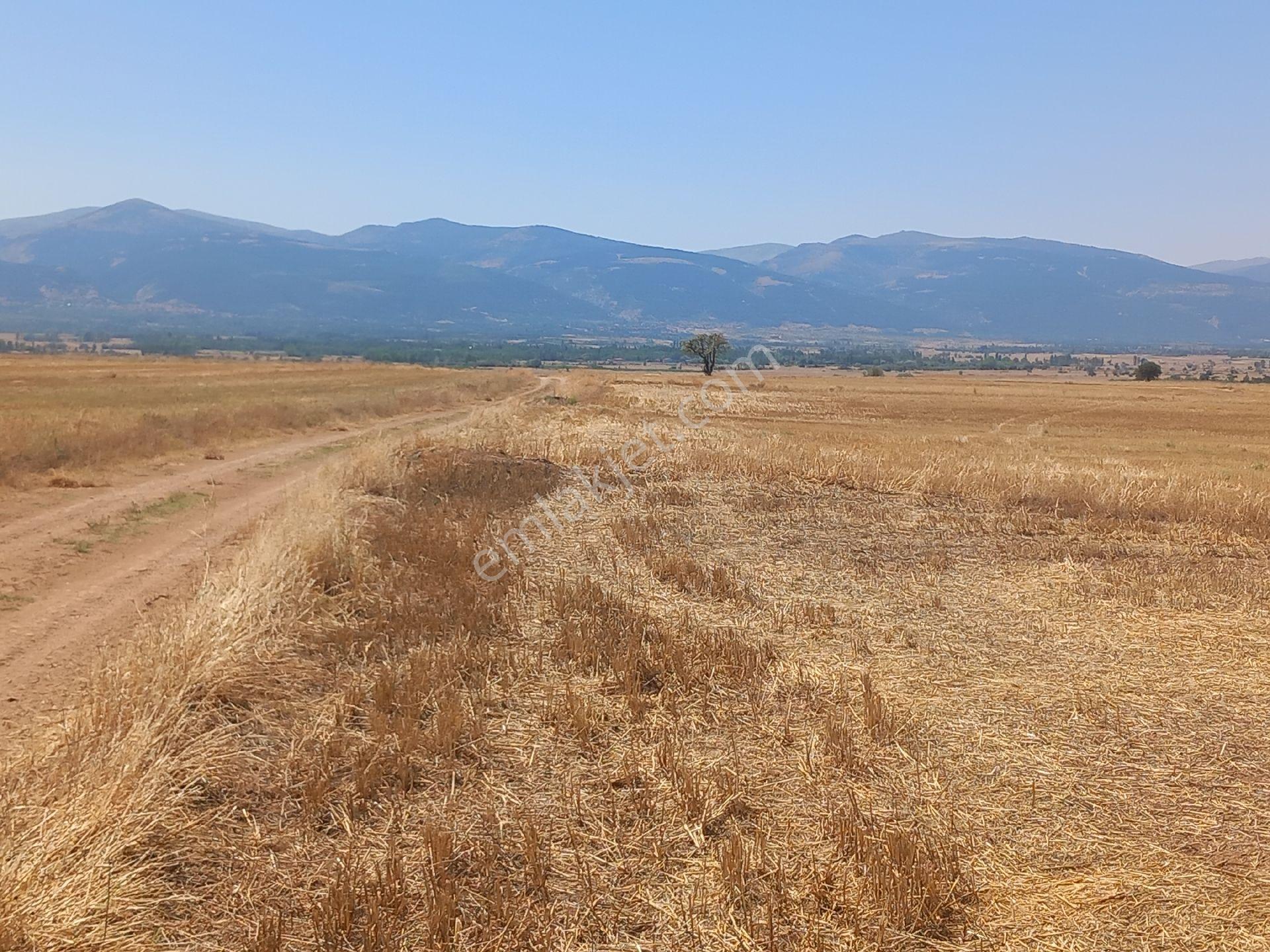 Asil Emlaktan Satılık Yatırımlık Osb Ye 500 M Tarla - Görsel 6