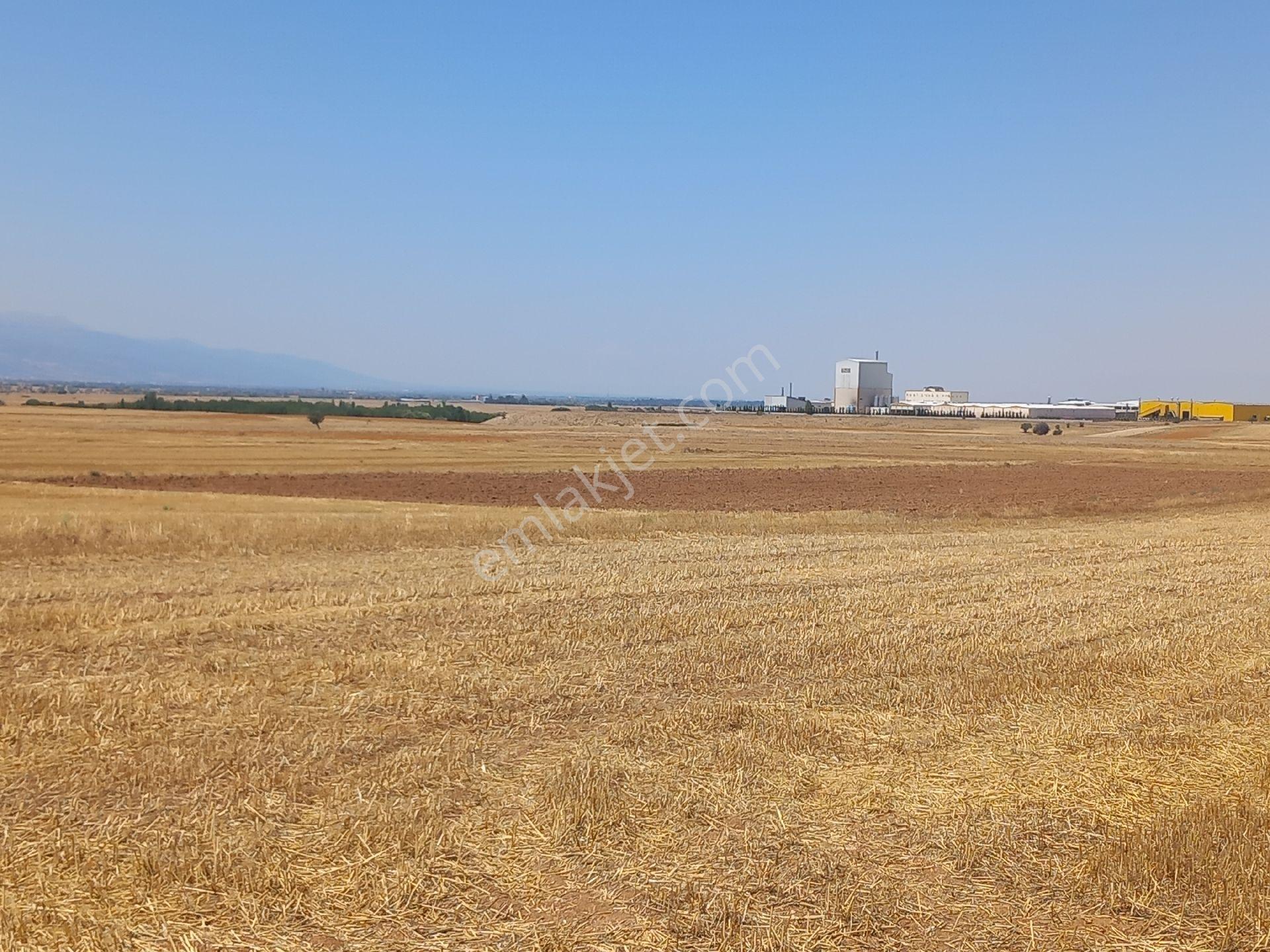 Asil Emlaktan Satılık Yatırımlık Osb Ye 500 M Tarla - Görsel 7
