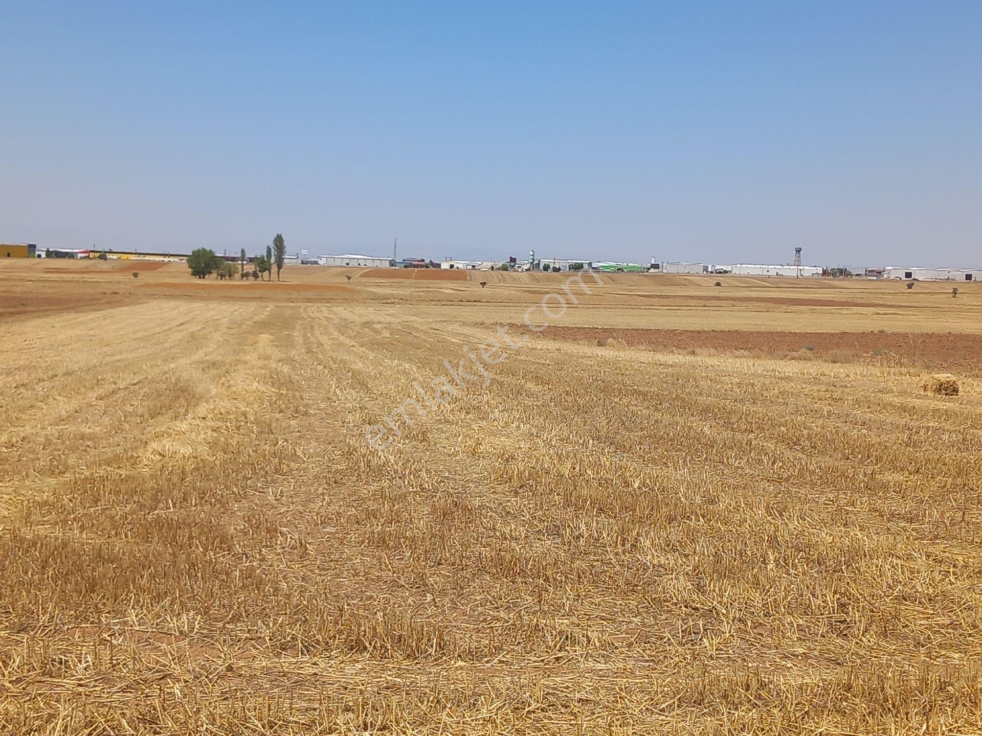 Asil Emlaktan Satılık Yatırımlık Osb Ye 500 M Tarla - Görsel 4