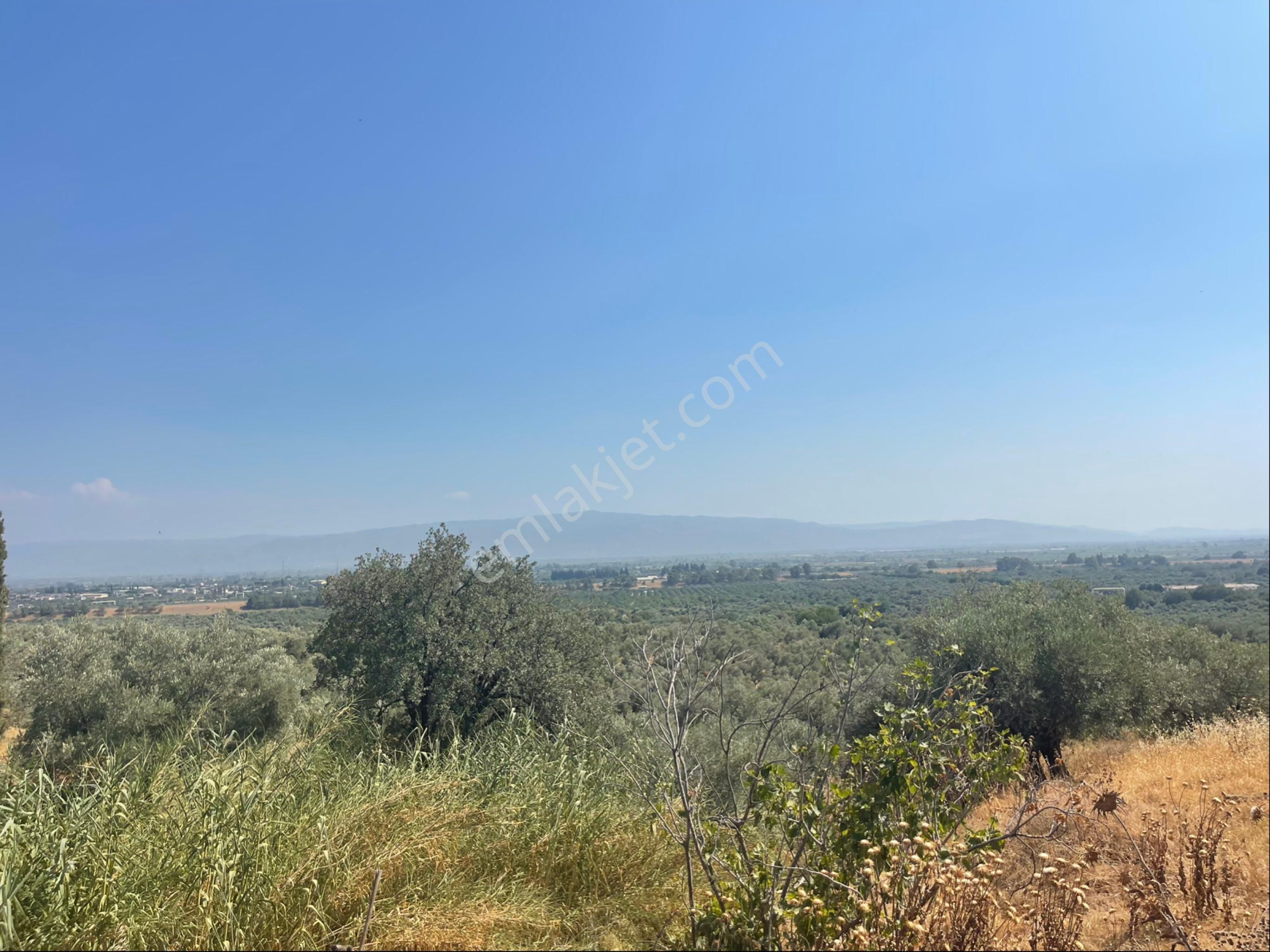 Satılık Köyiçi Arsa
