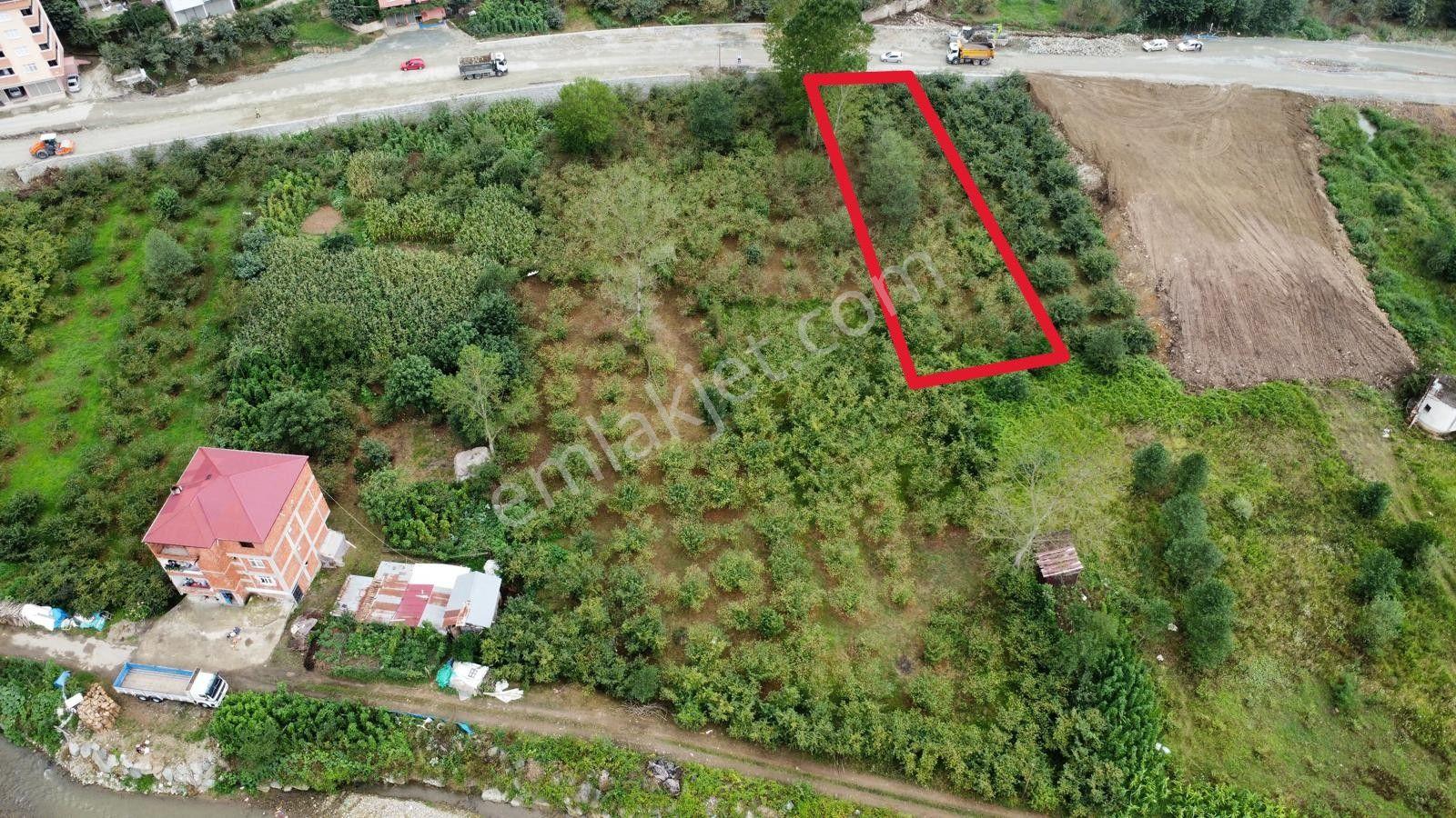Trabzon Arsin'de Satılık Arazi - Görsel 11