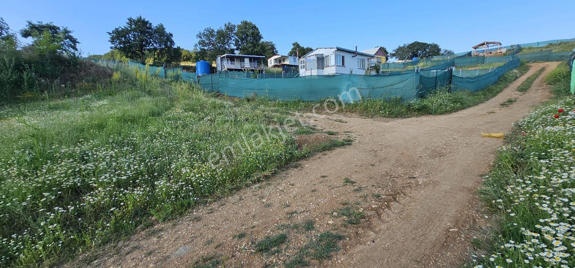 Bursa Kestel Ümitalan Köyün'de Satılık 220m2 Hobi Bahçesi..